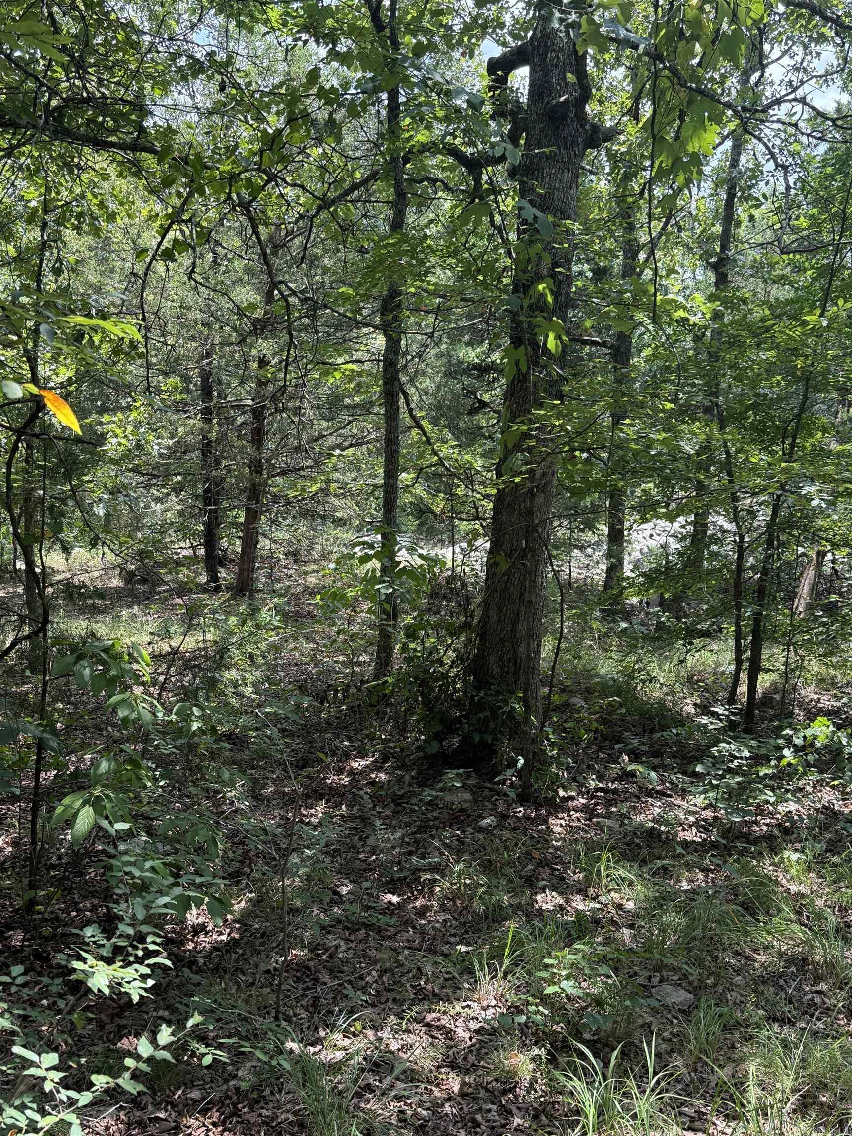 2830 Tiger B Road Property Photo 15