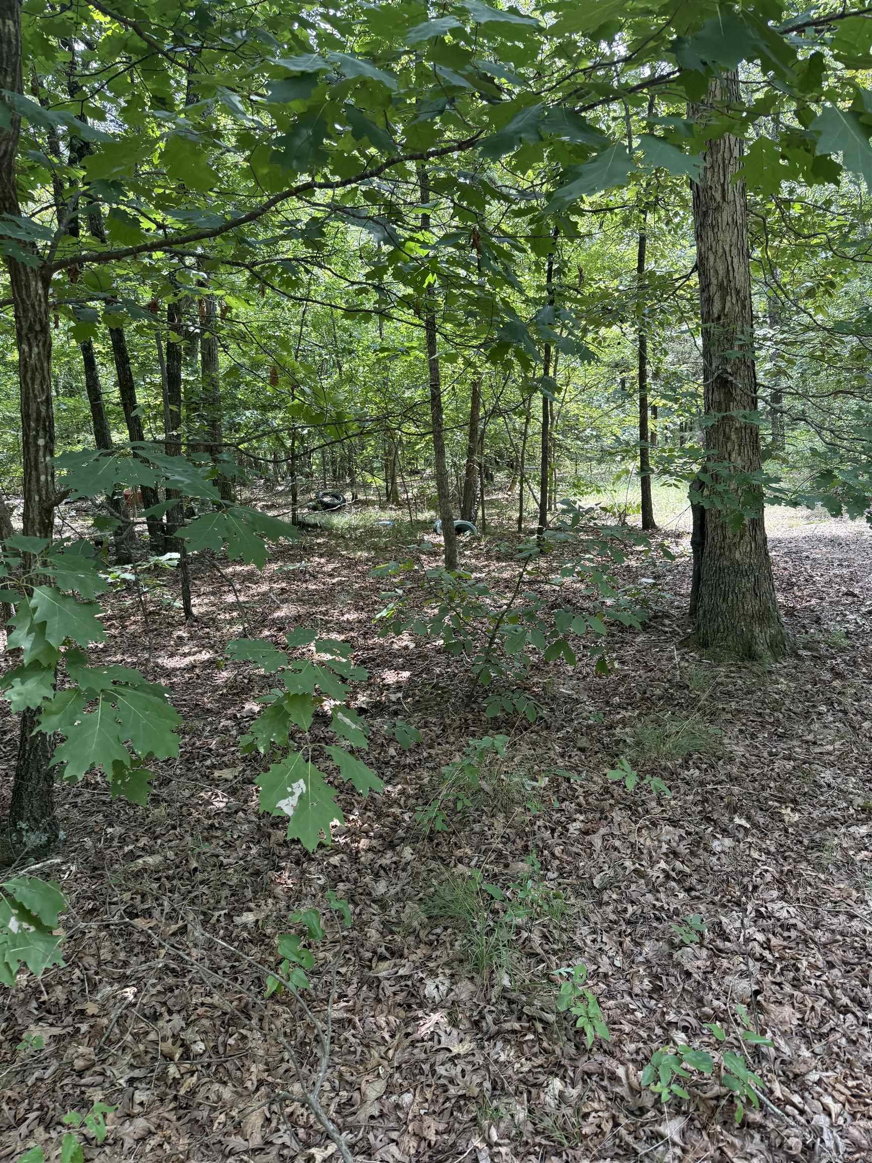 2830 Tiger B Road Property Photo 16