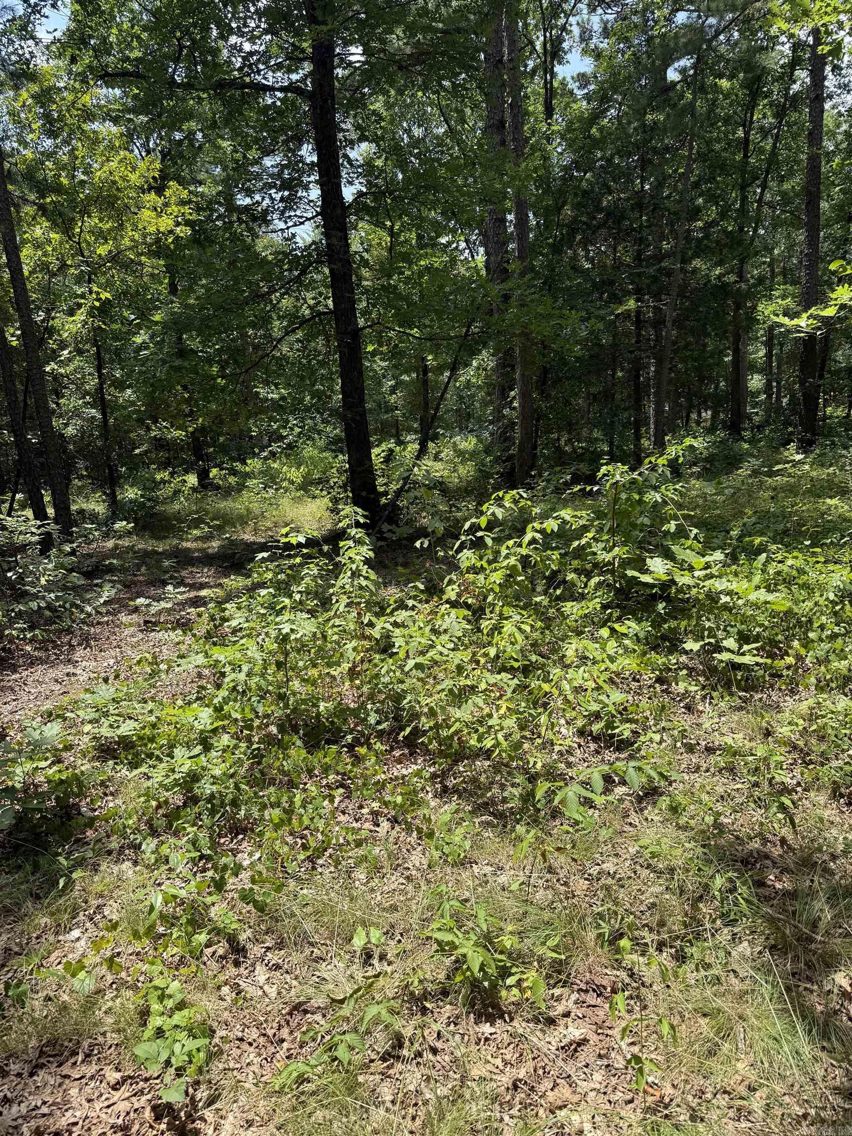 2830 Tiger B Road Property Photo 17