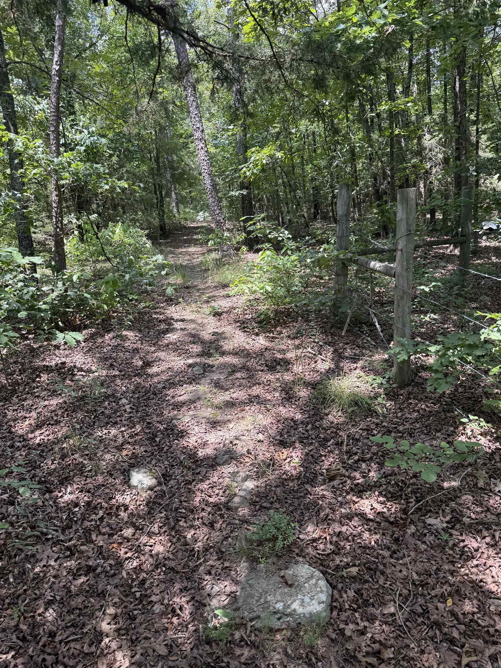 2830 Tiger B Road Property Photo 18