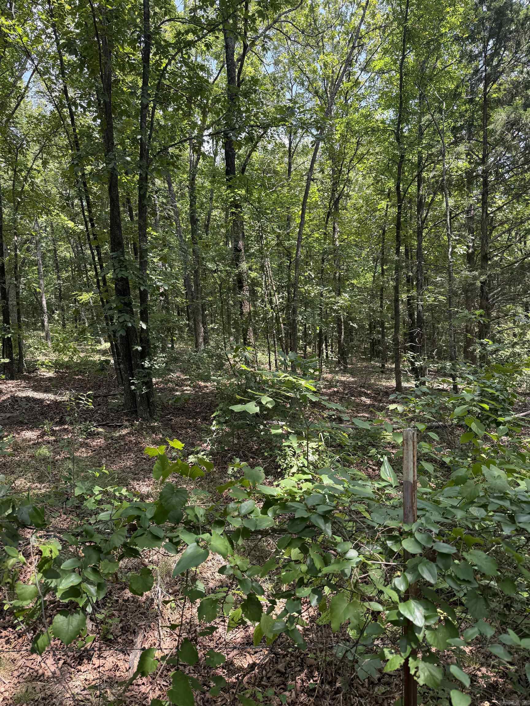 2830 Tiger B Road Property Photo 19