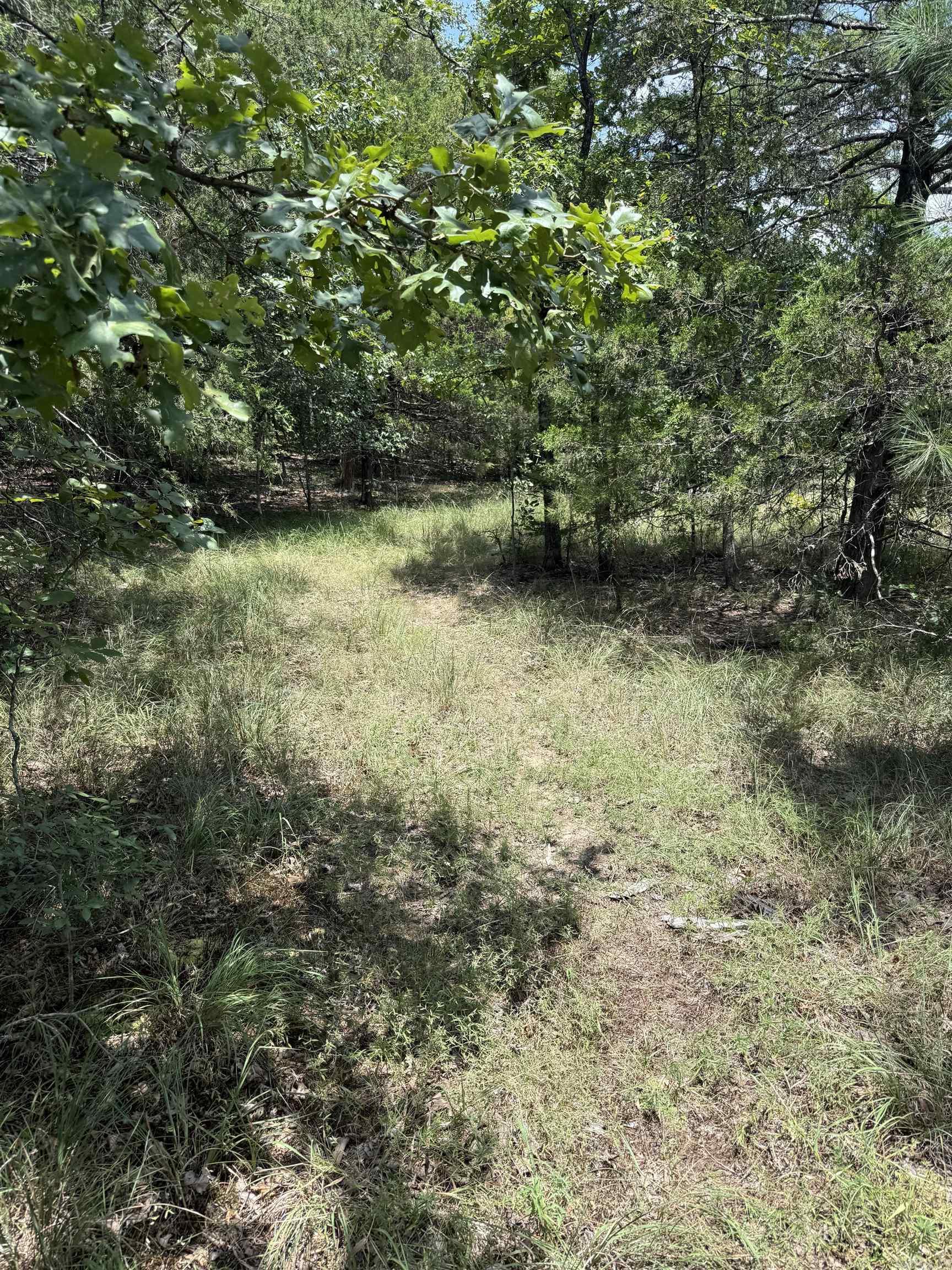 2830 Tiger B Road Property Photo 25