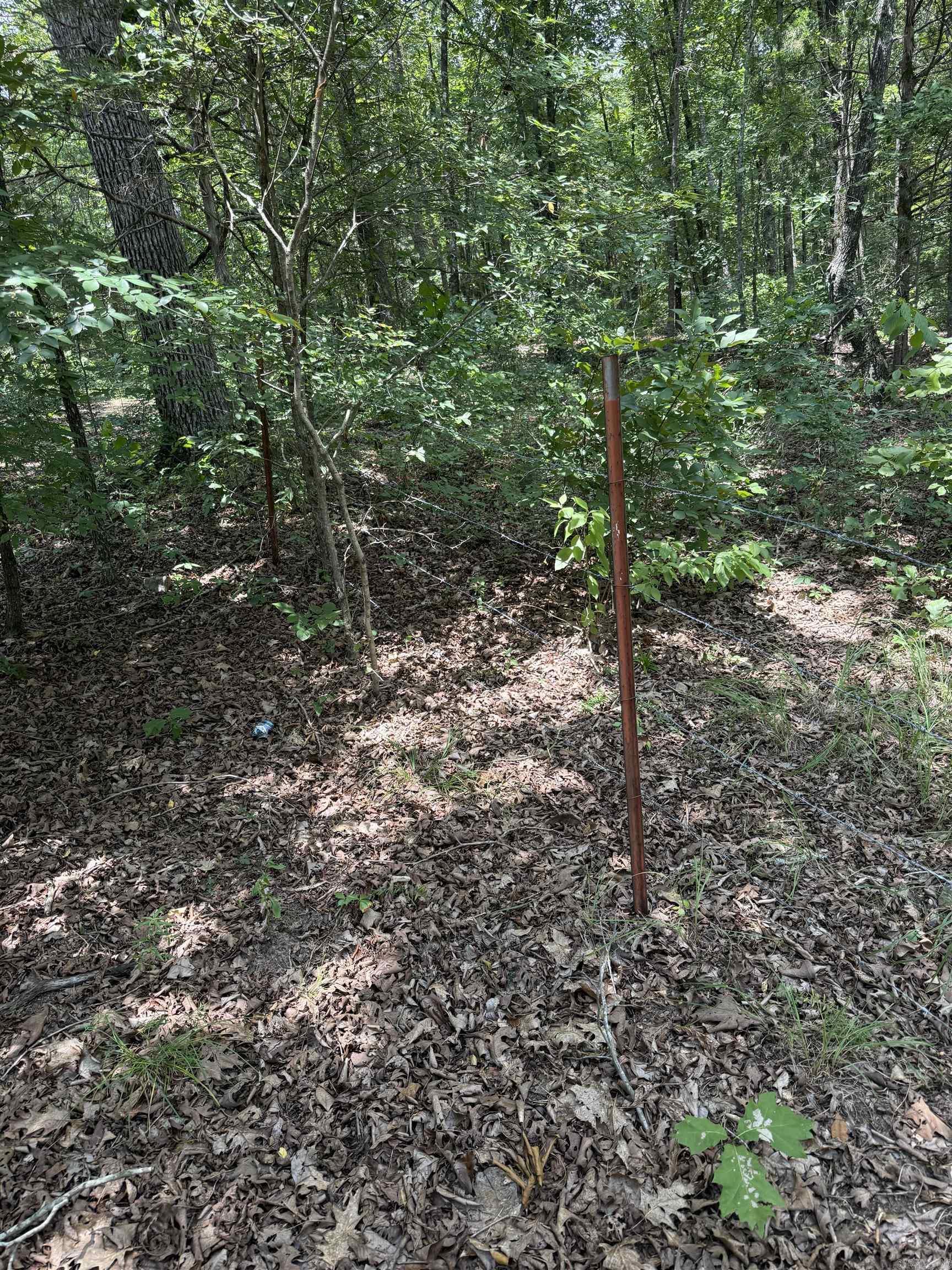 2830 Tiger B Road Property Photo 26