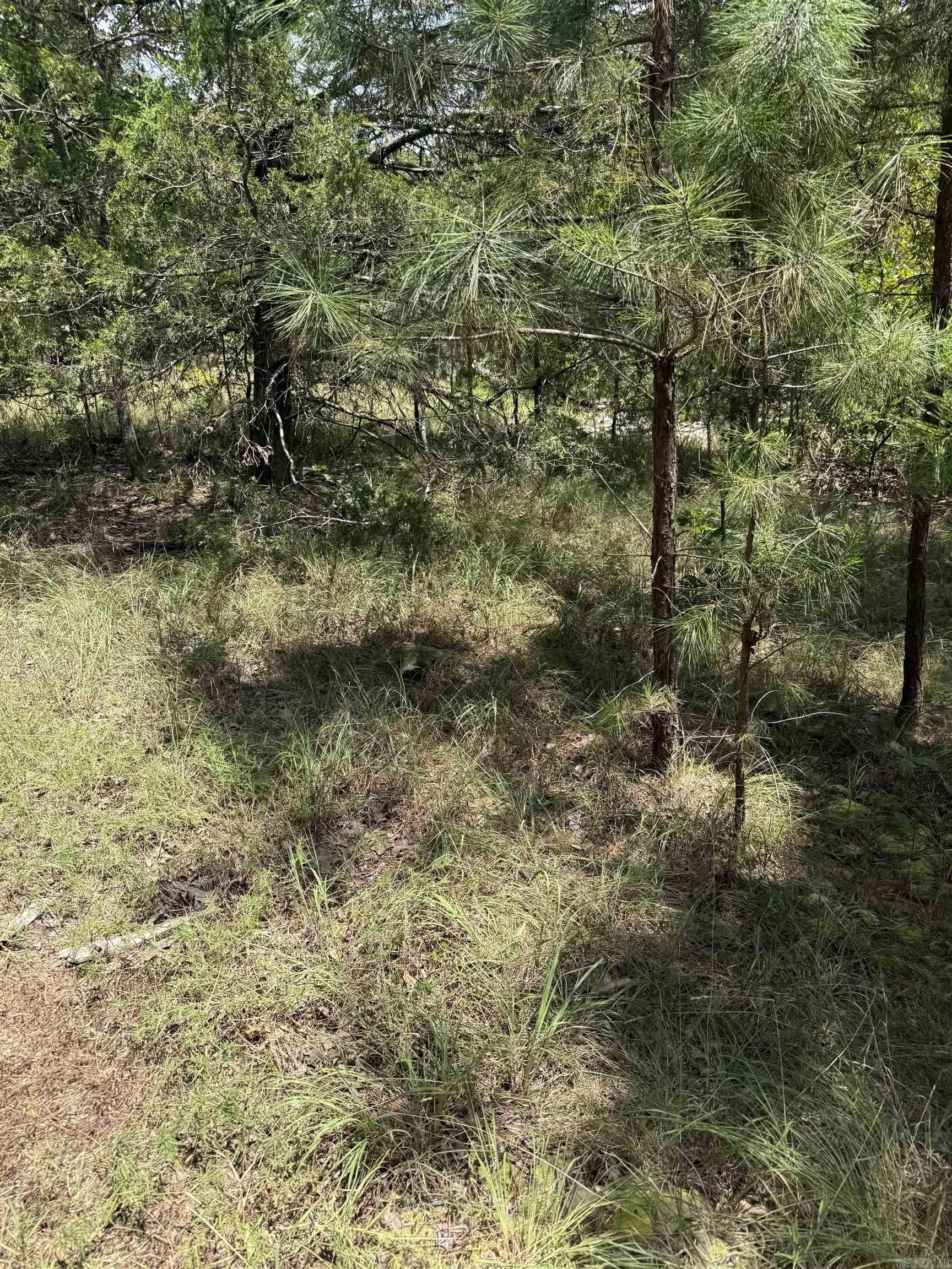2830 Tiger B Road Property Photo 27