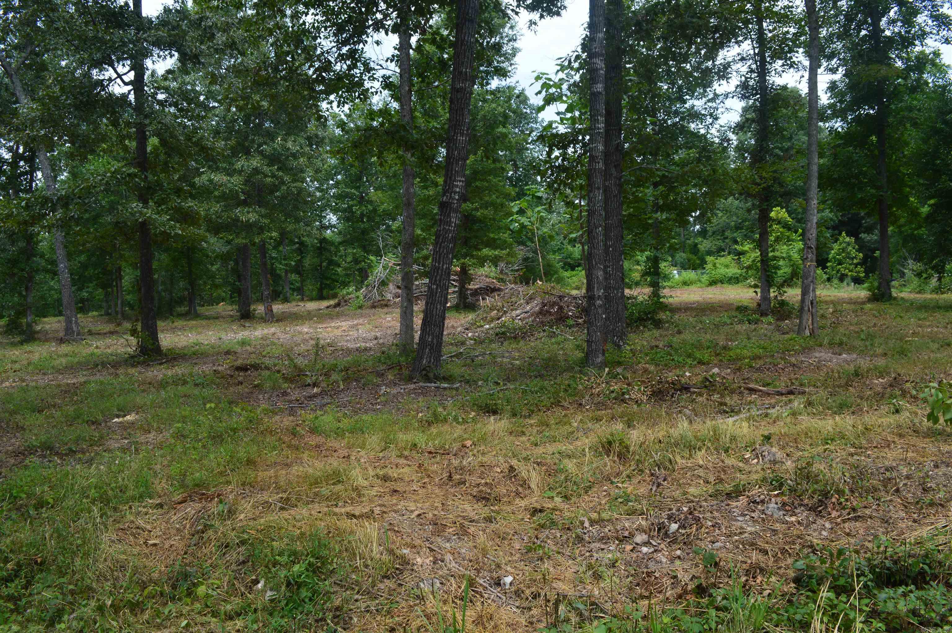 595 Lancaster Drive Property Photo 2
