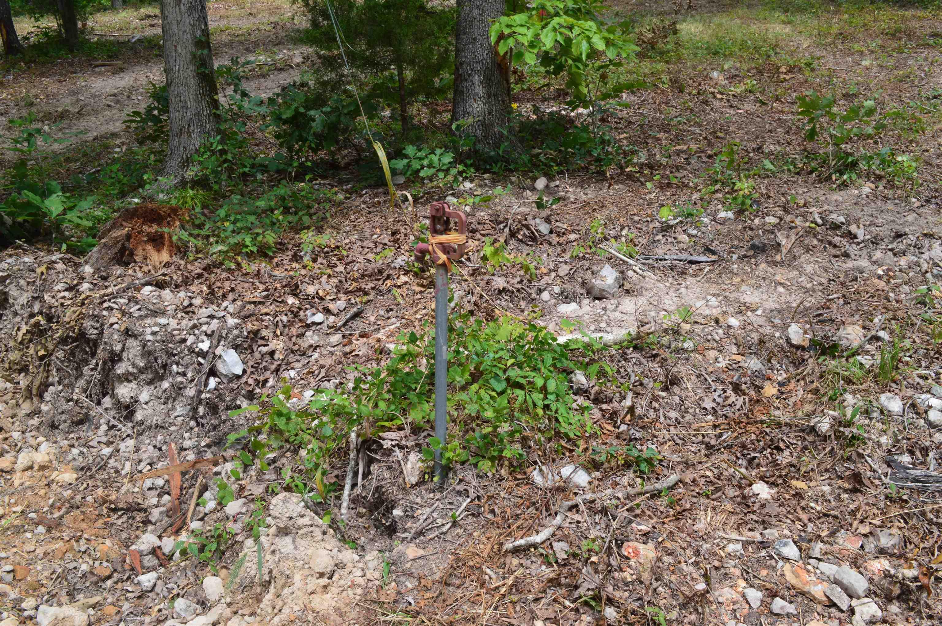 595 Lancaster Drive Property Photo 5