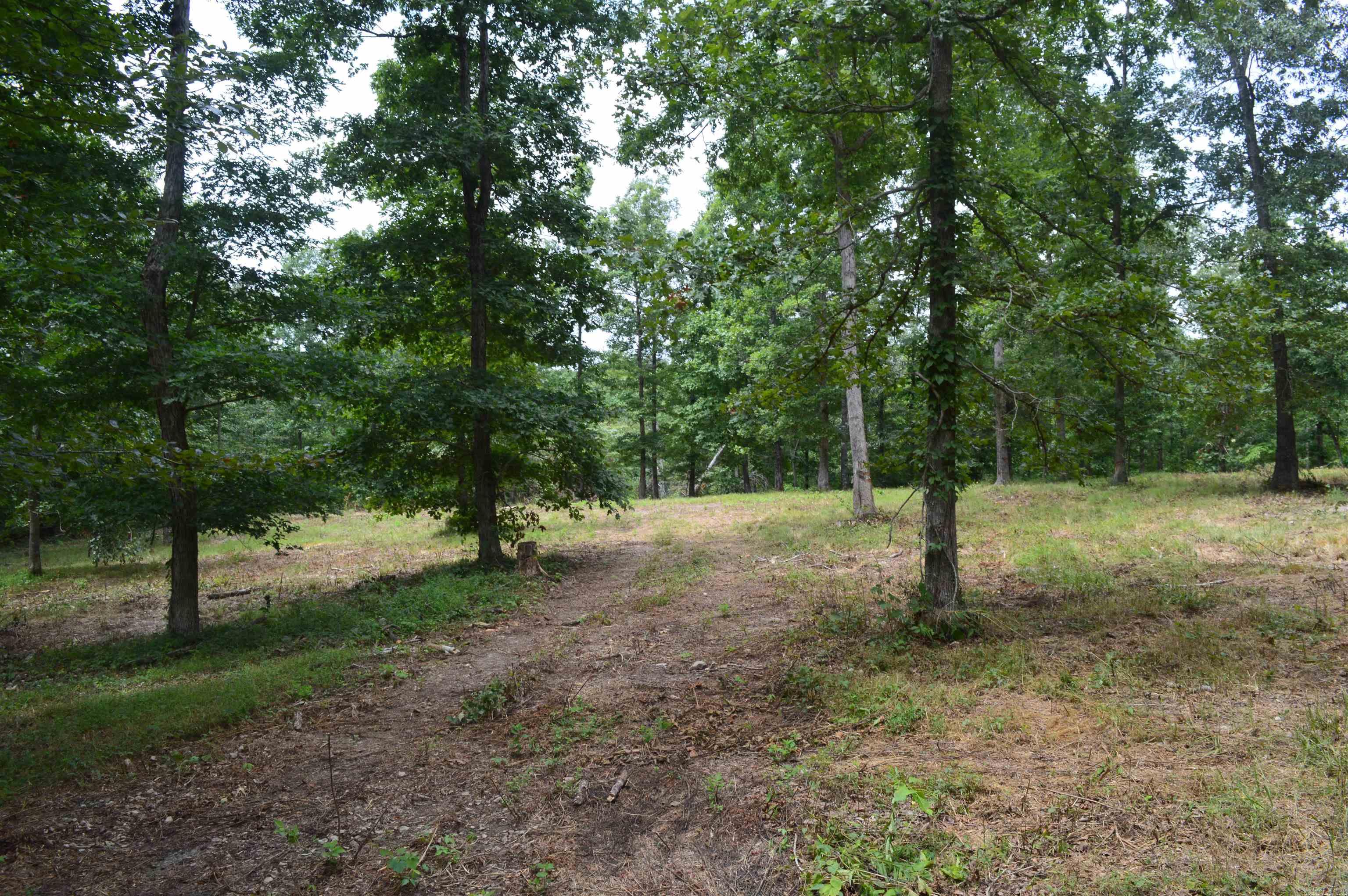595 Lancaster Drive Property Photo 6