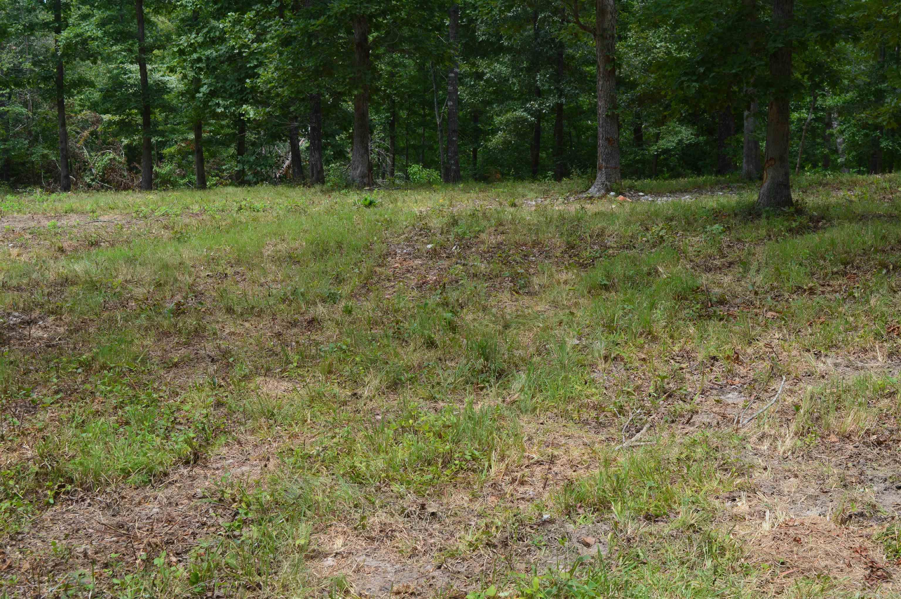595 Lancaster Drive Property Photo 7