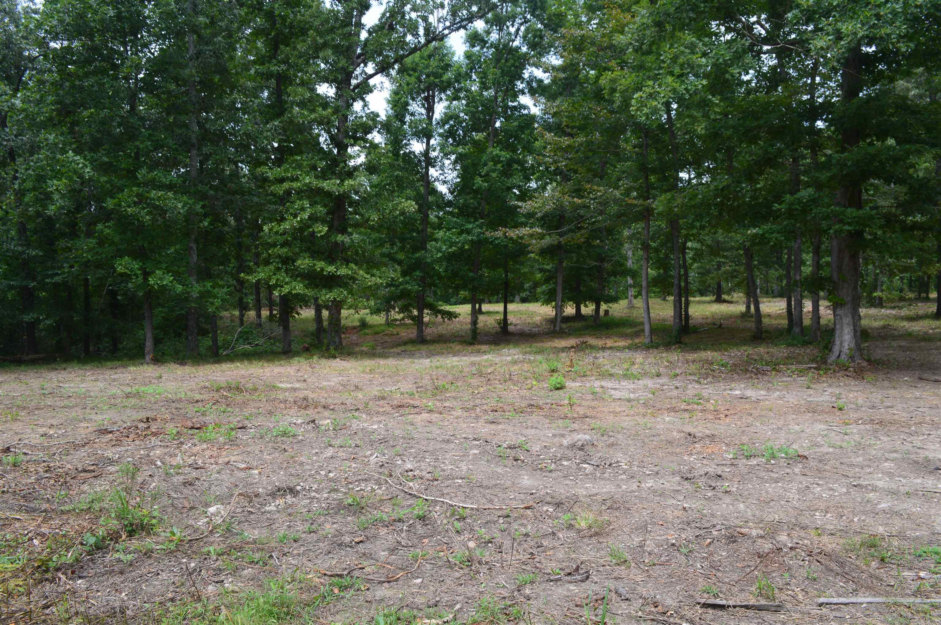 595 Lancaster Drive Property Photo 8