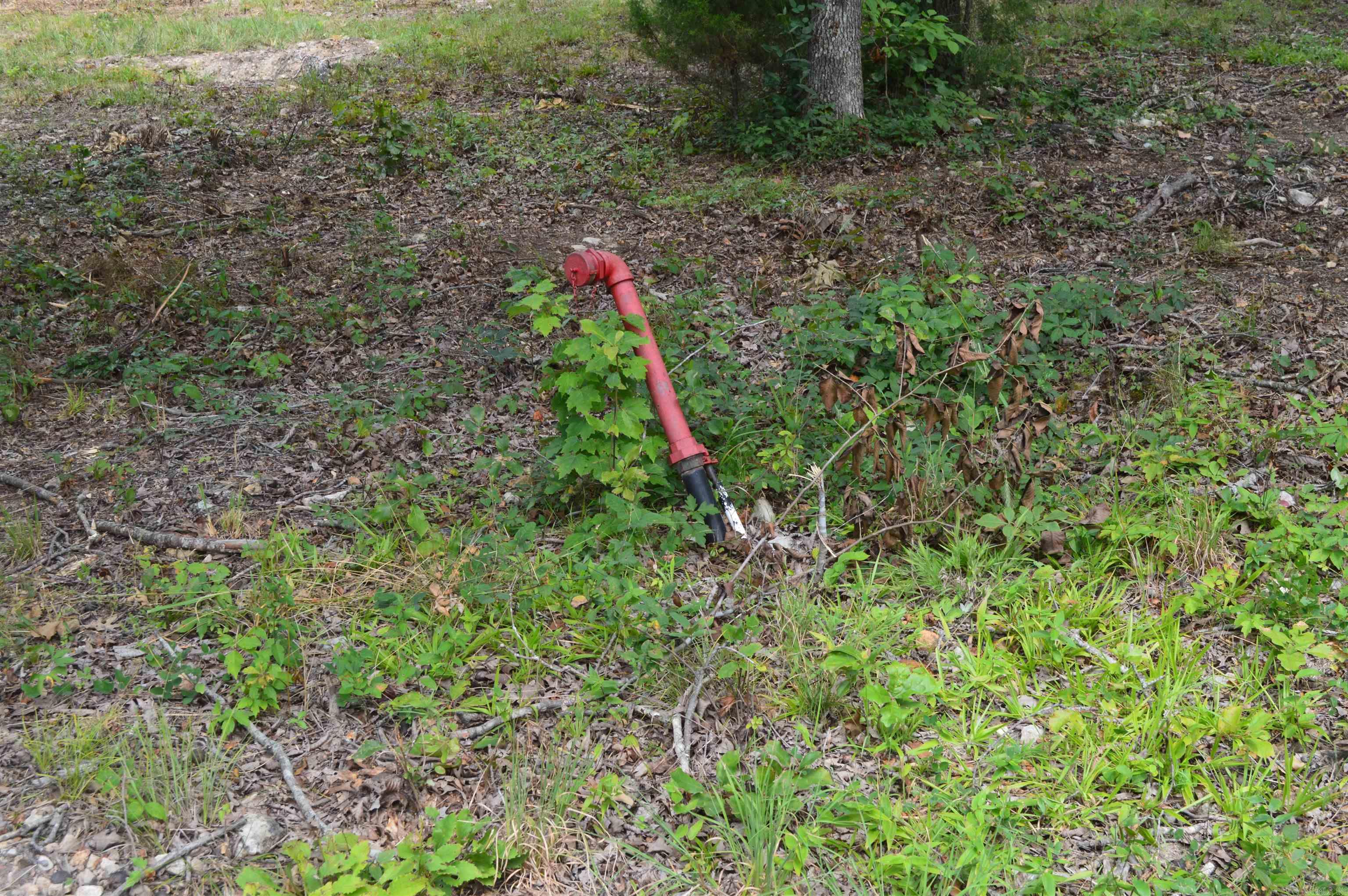 595 Lancaster Drive Property Photo 9