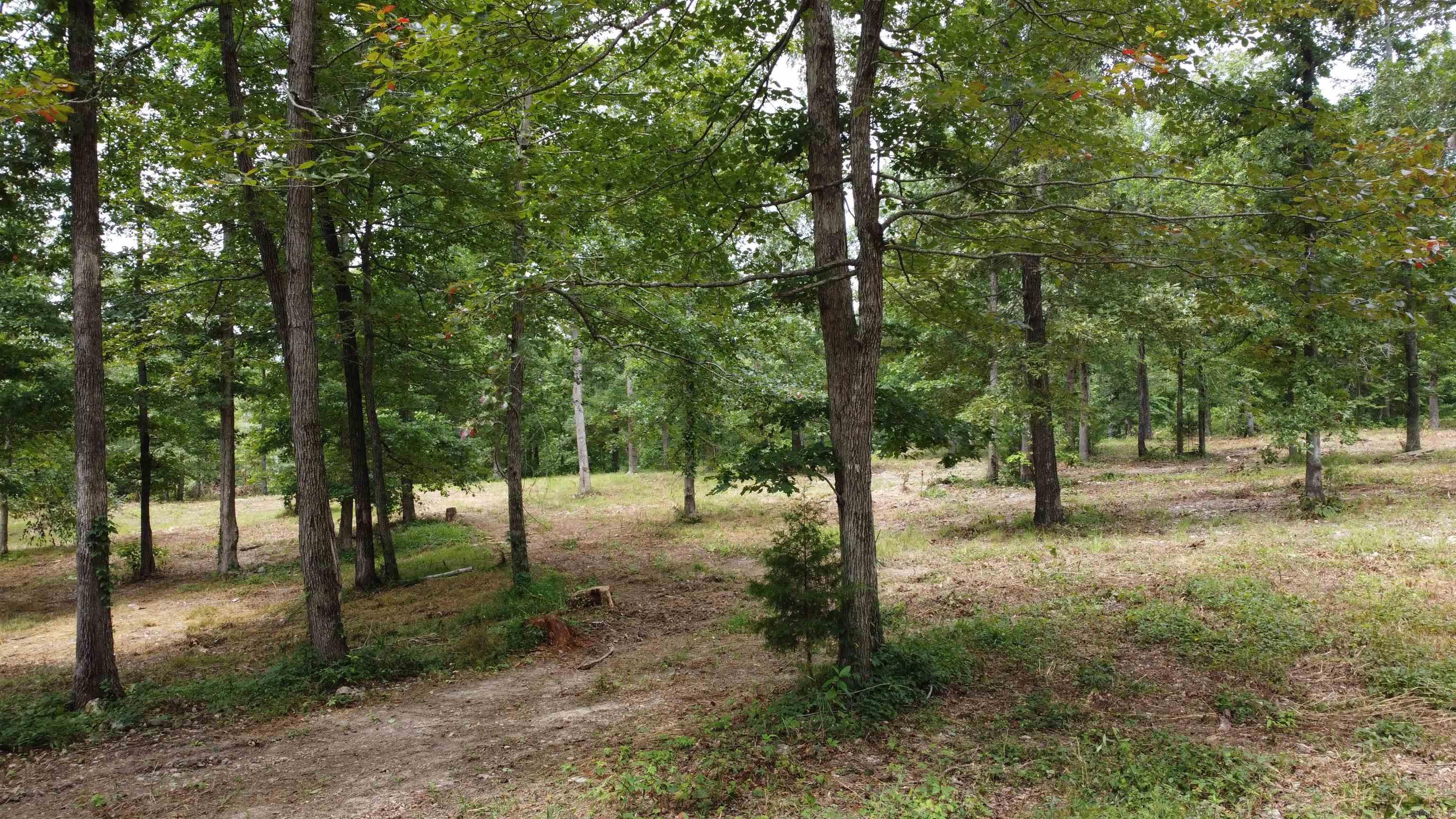 595 Lancaster Drive Property Photo 12