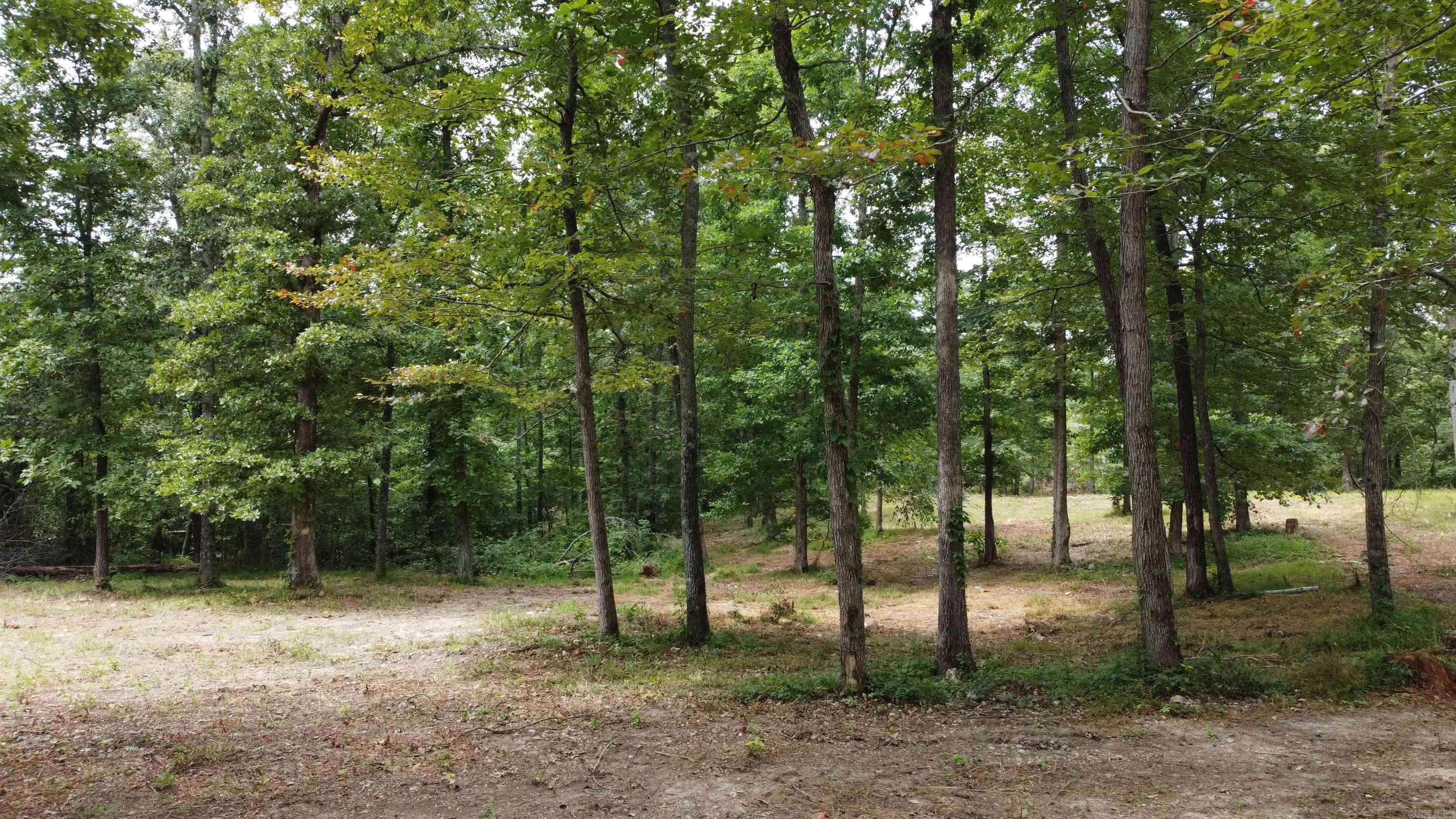 595 Lancaster Drive Property Photo 14