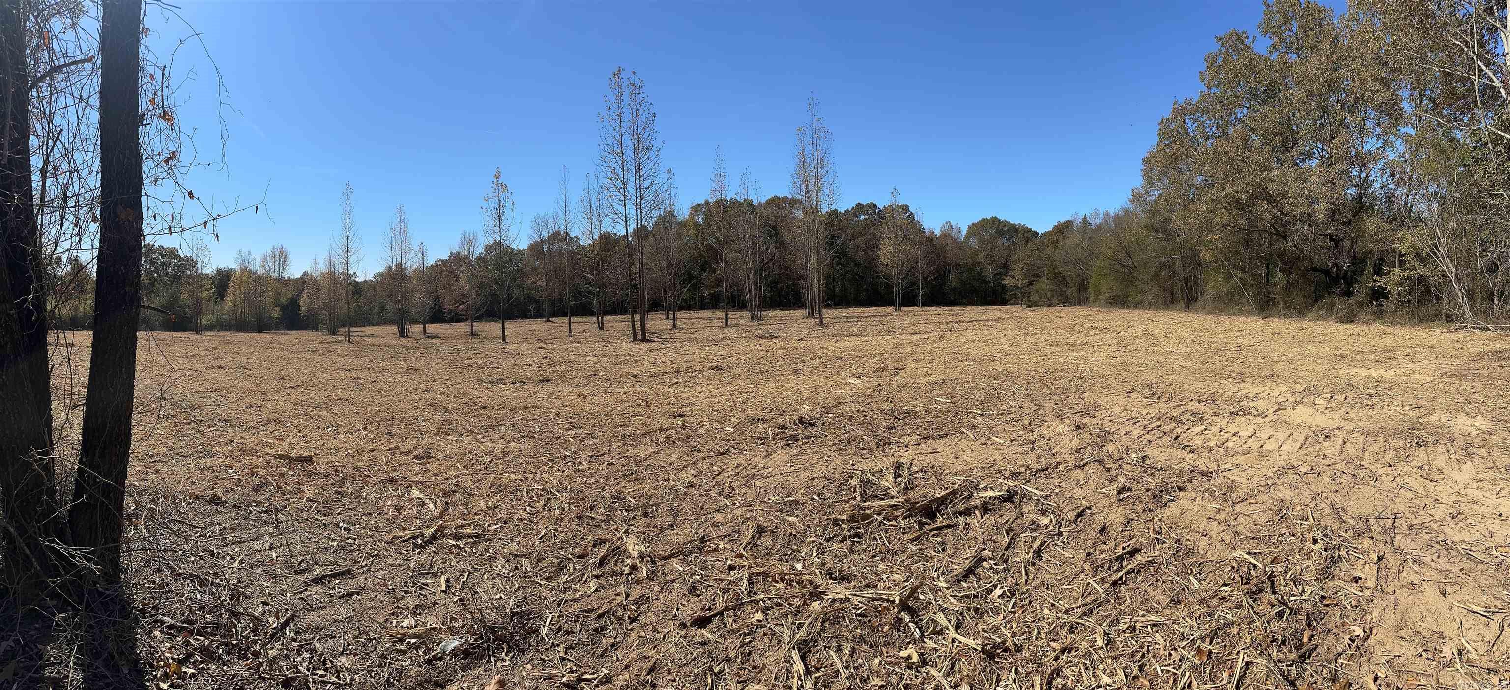 000 Little Red Mountain Road Property Photo 1