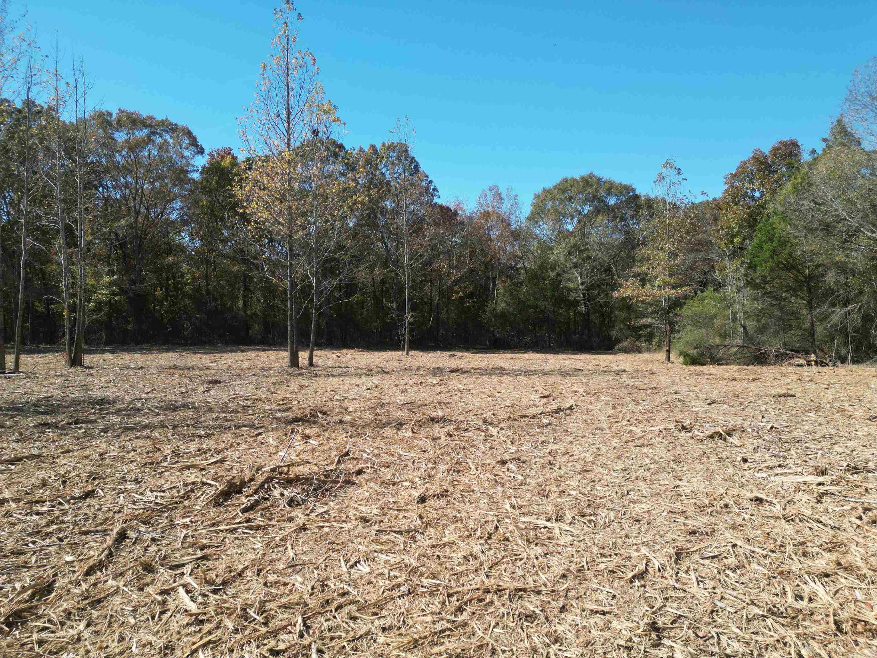 000 Little Red Mountain Road Property Photo 4
