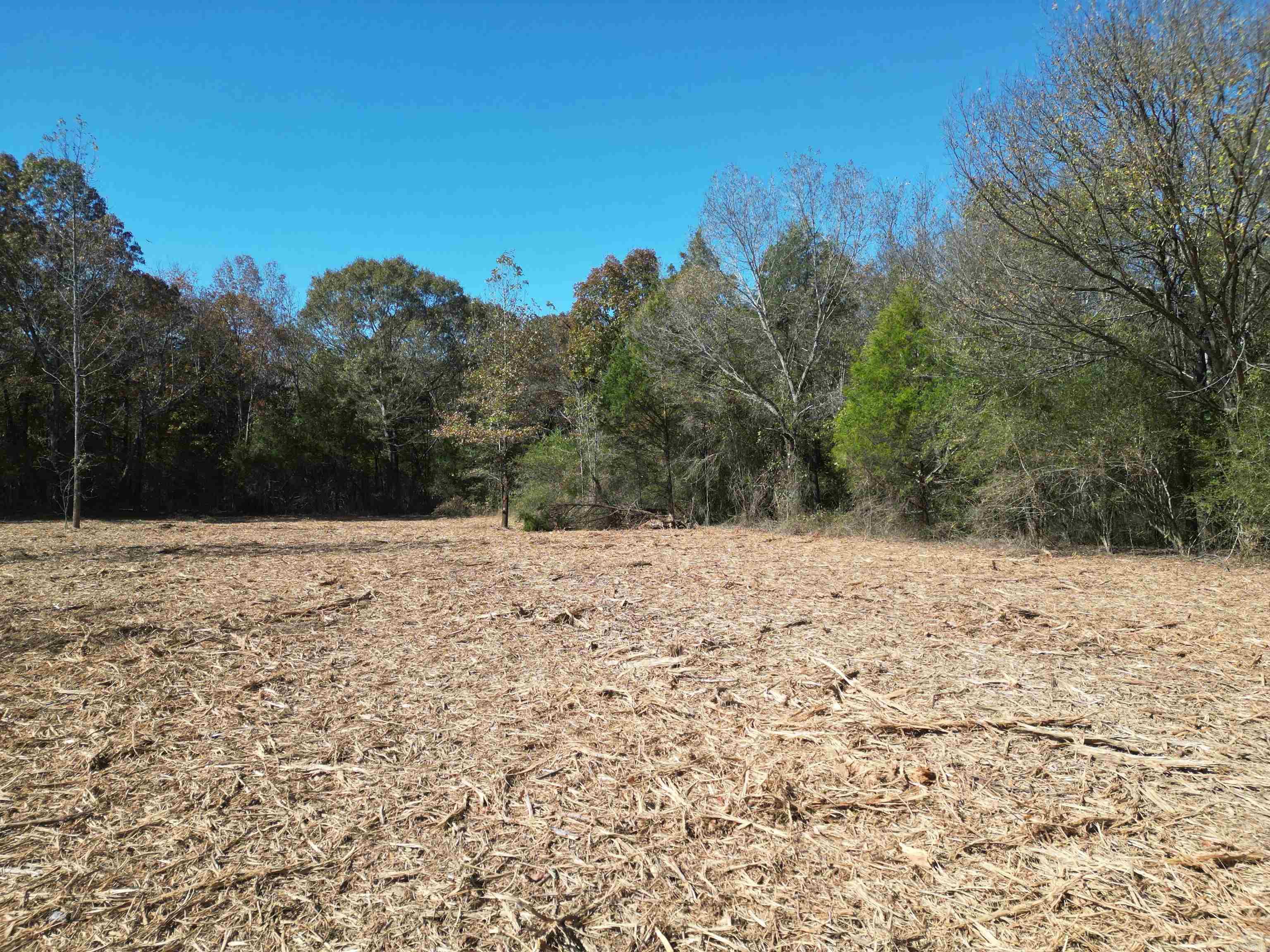 000 Little Red Mountain Road Property Photo 6