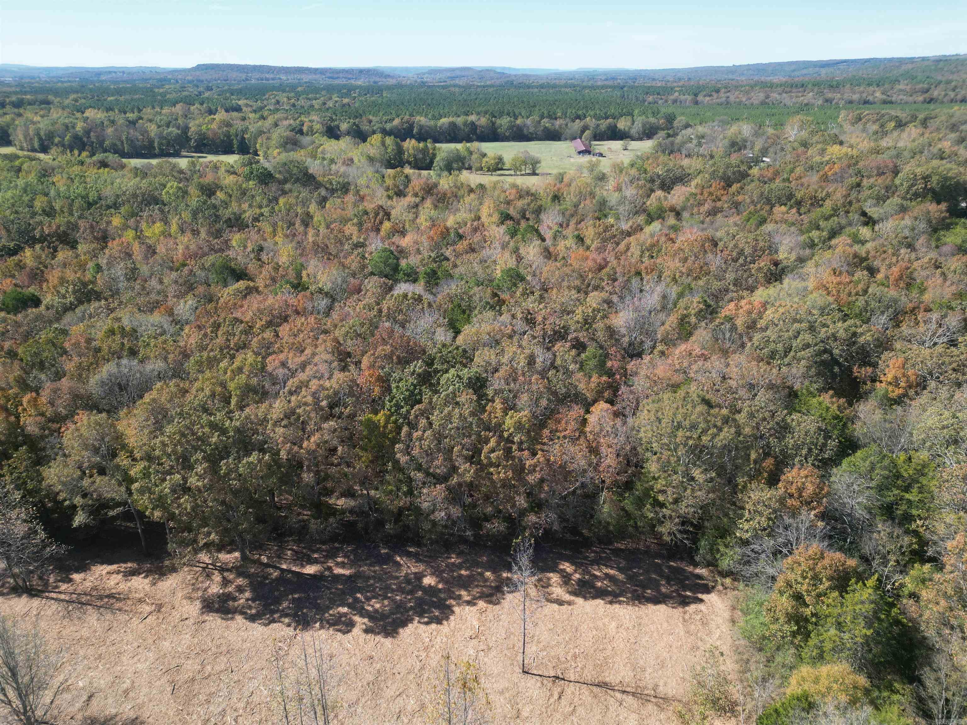 000 Little Red Mountain Road Property Photo 7