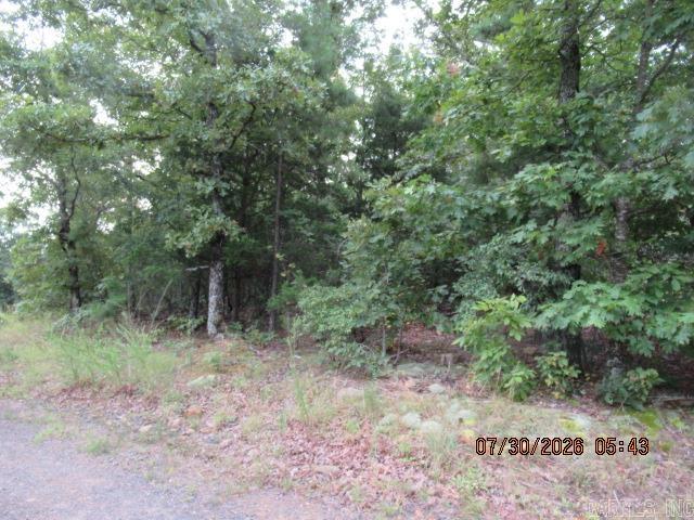 Tbd Pine Ridge Road Property Photo 4