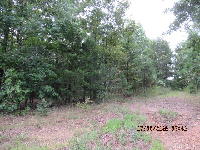 Tbd Pine Ridge Road Property Photo 5