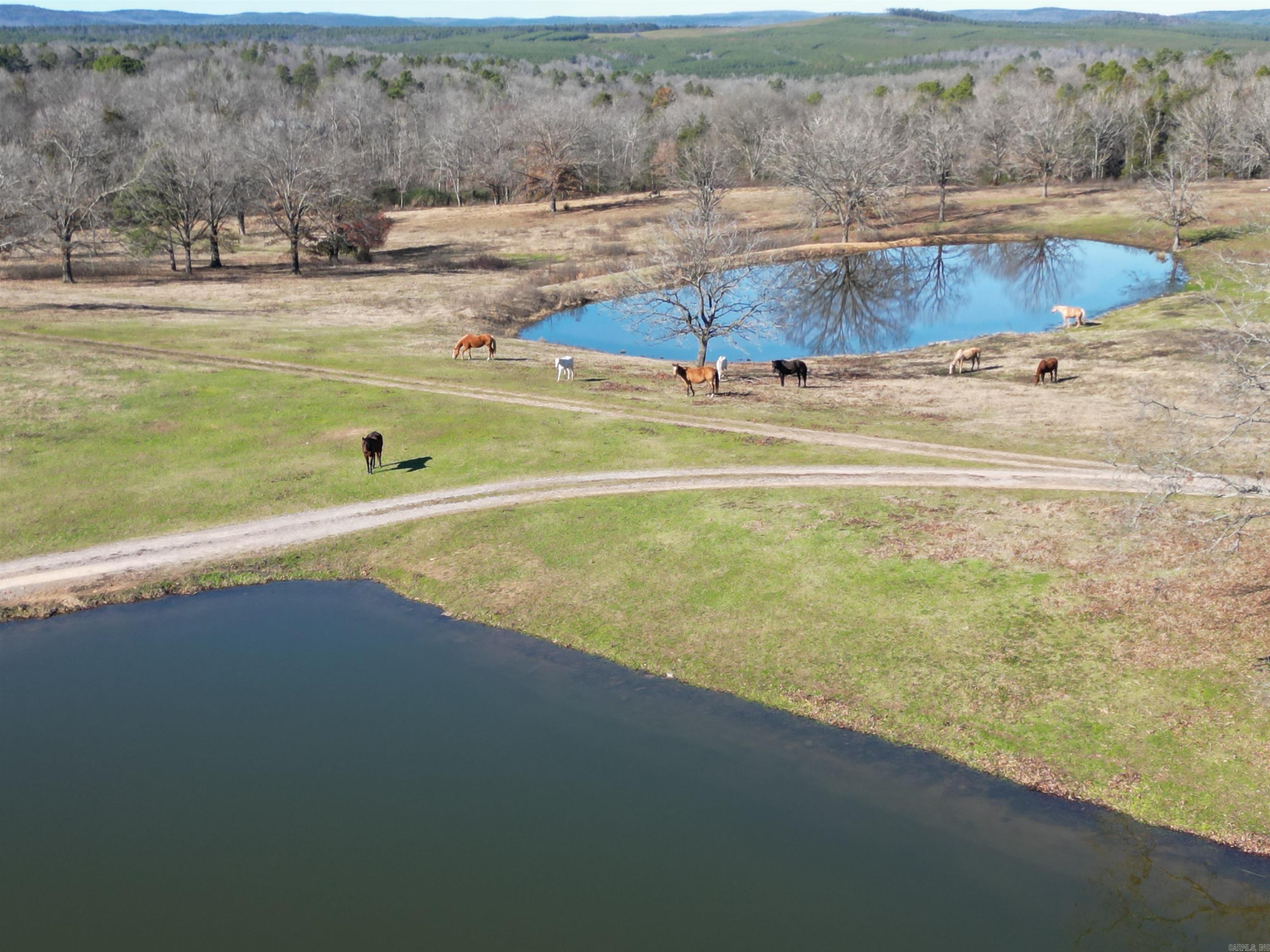 4487 Hwy 95 Property Photo 25