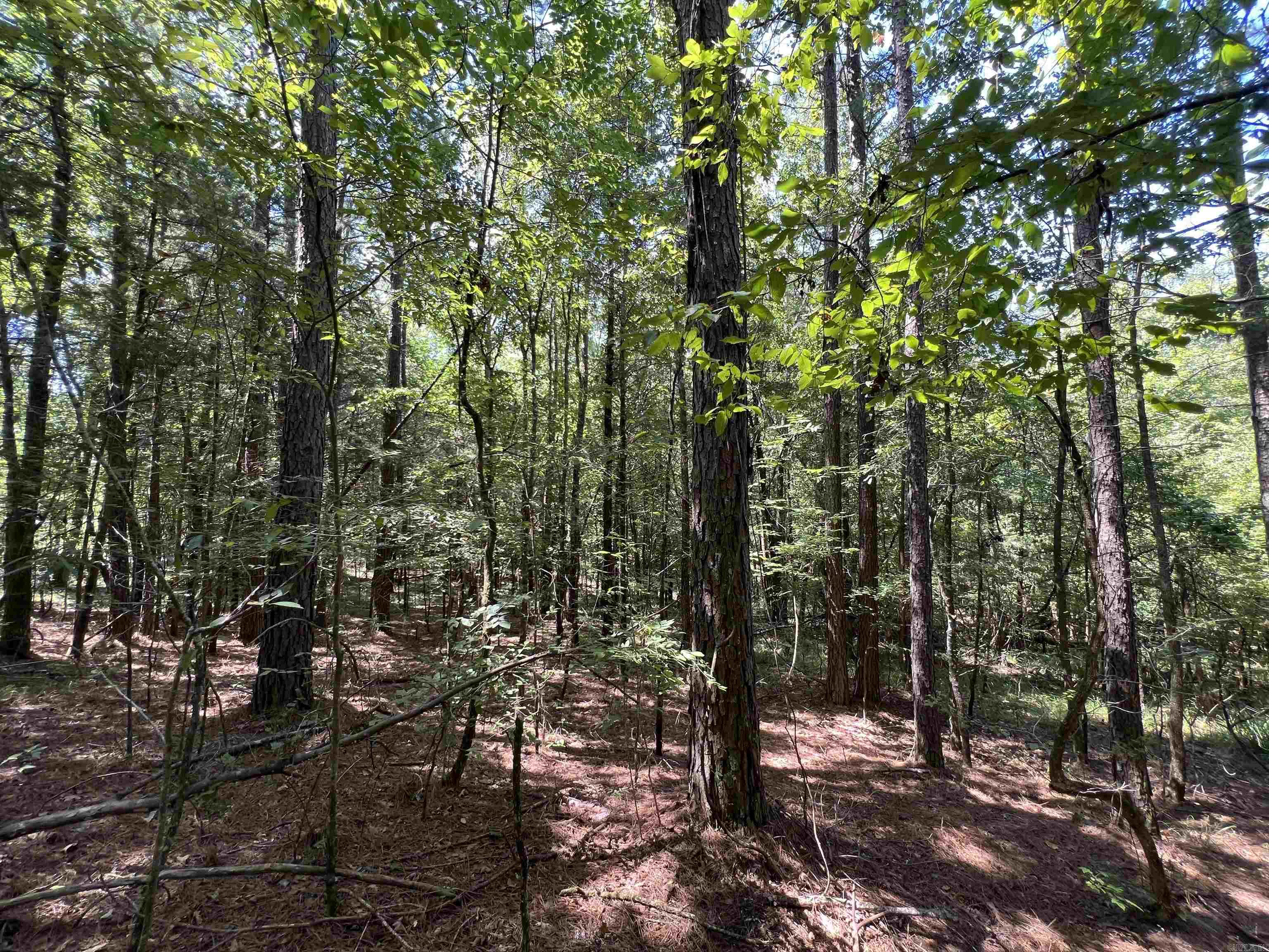 000 Davidson Campground Rd