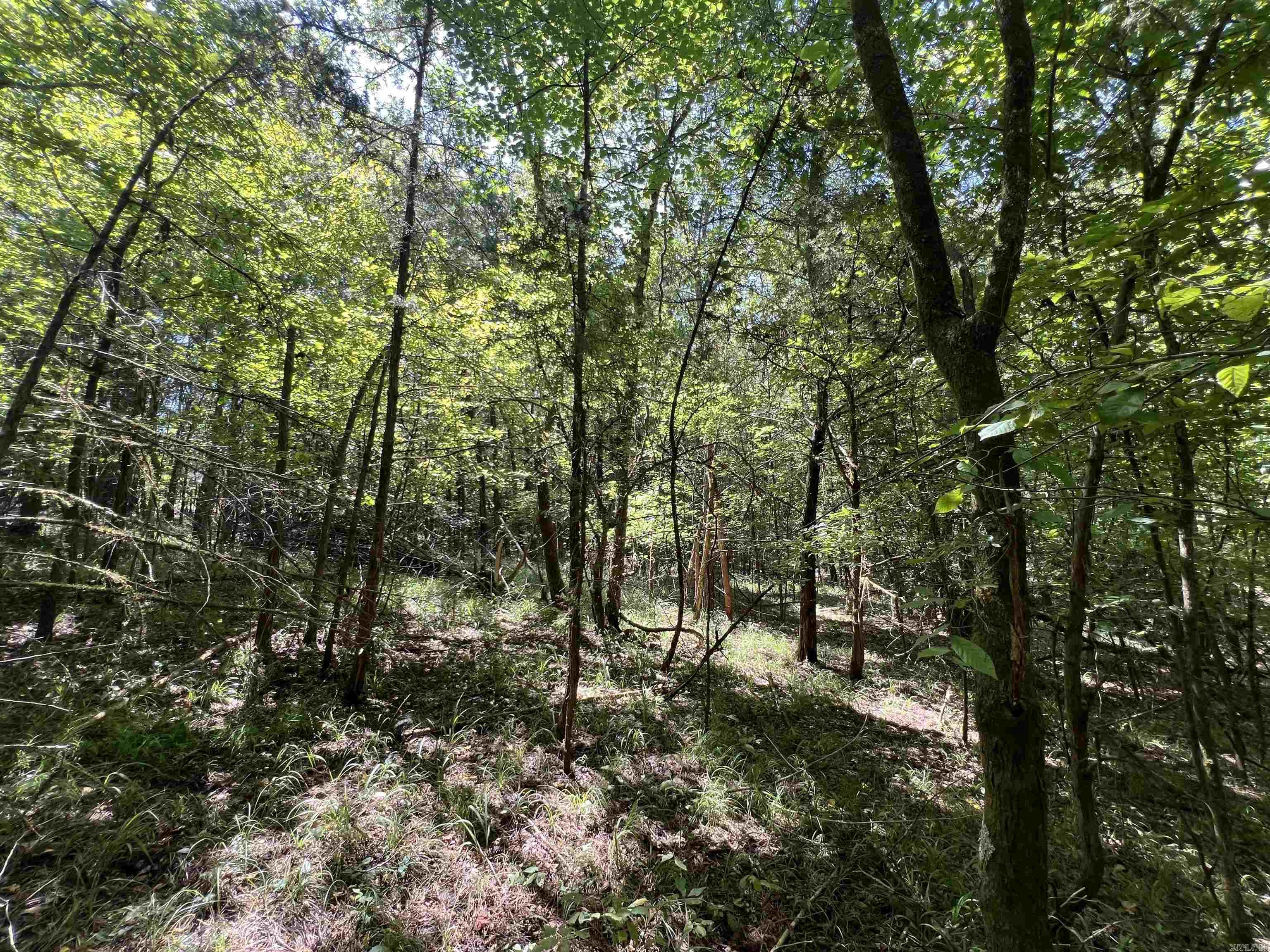 000 Davidson Campground Rd Property Photo 3