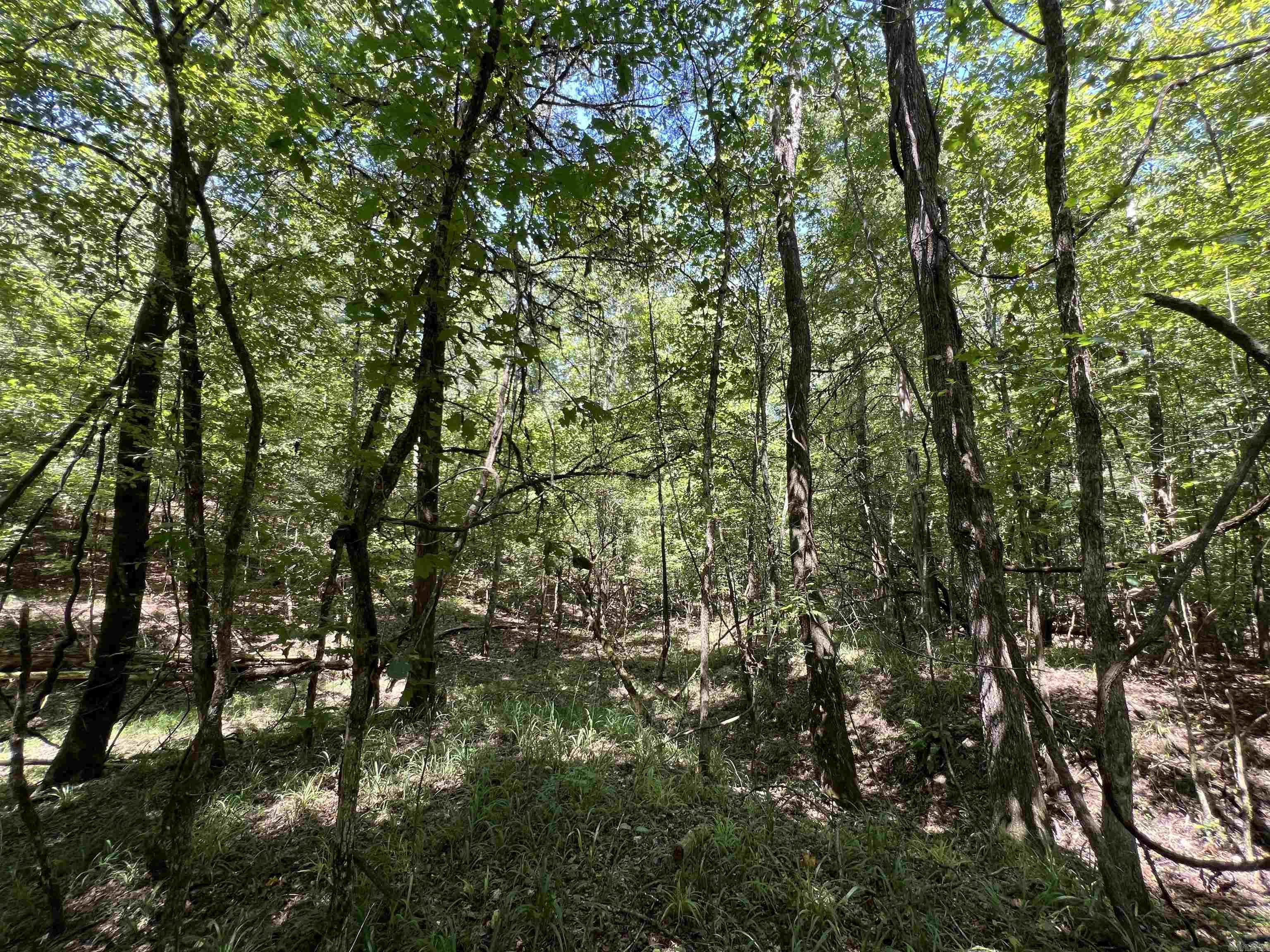 000 Davidson Campground Rd Property Photo 4