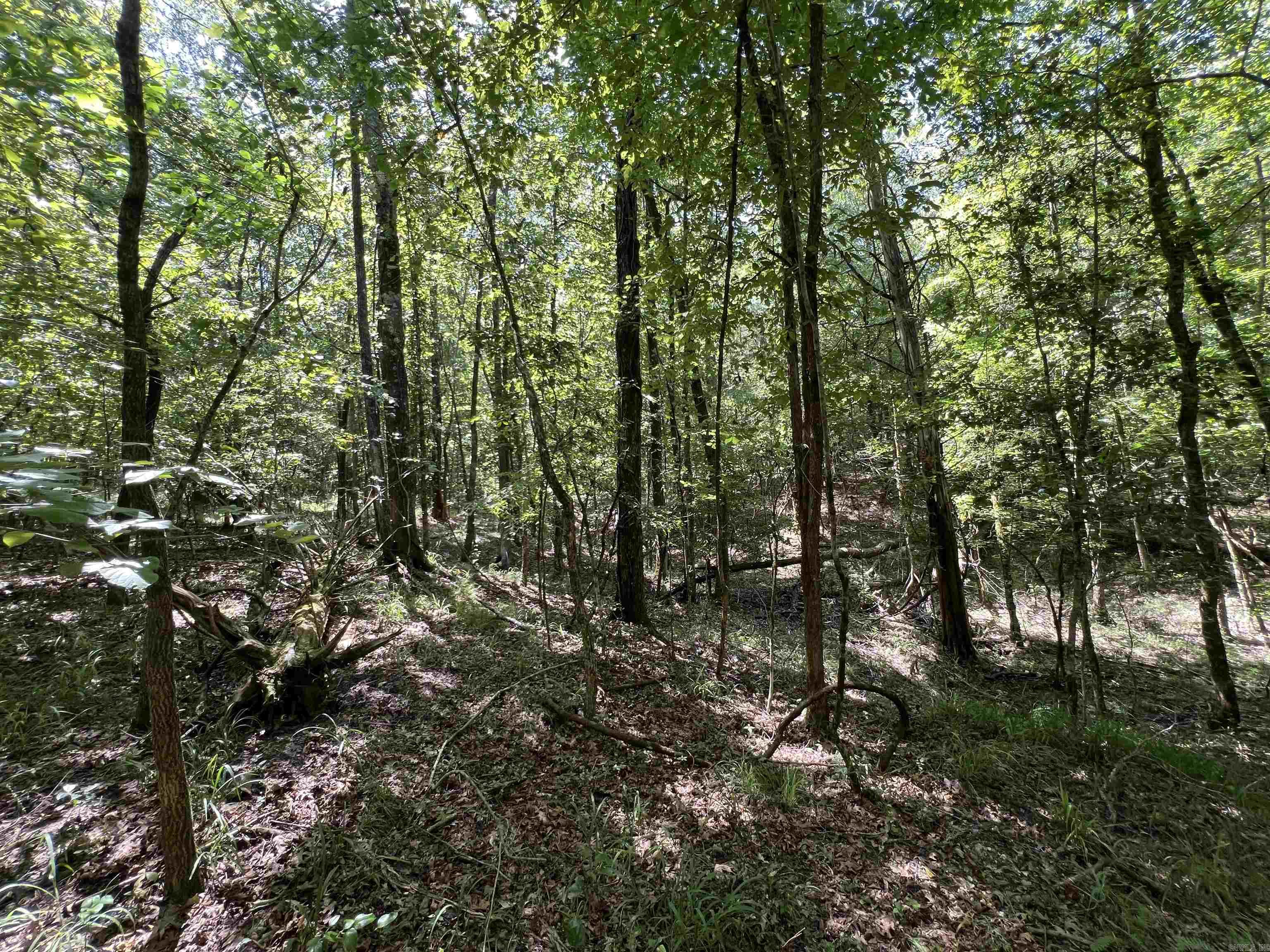 000 Davidson Campground Rd Property Photo 5