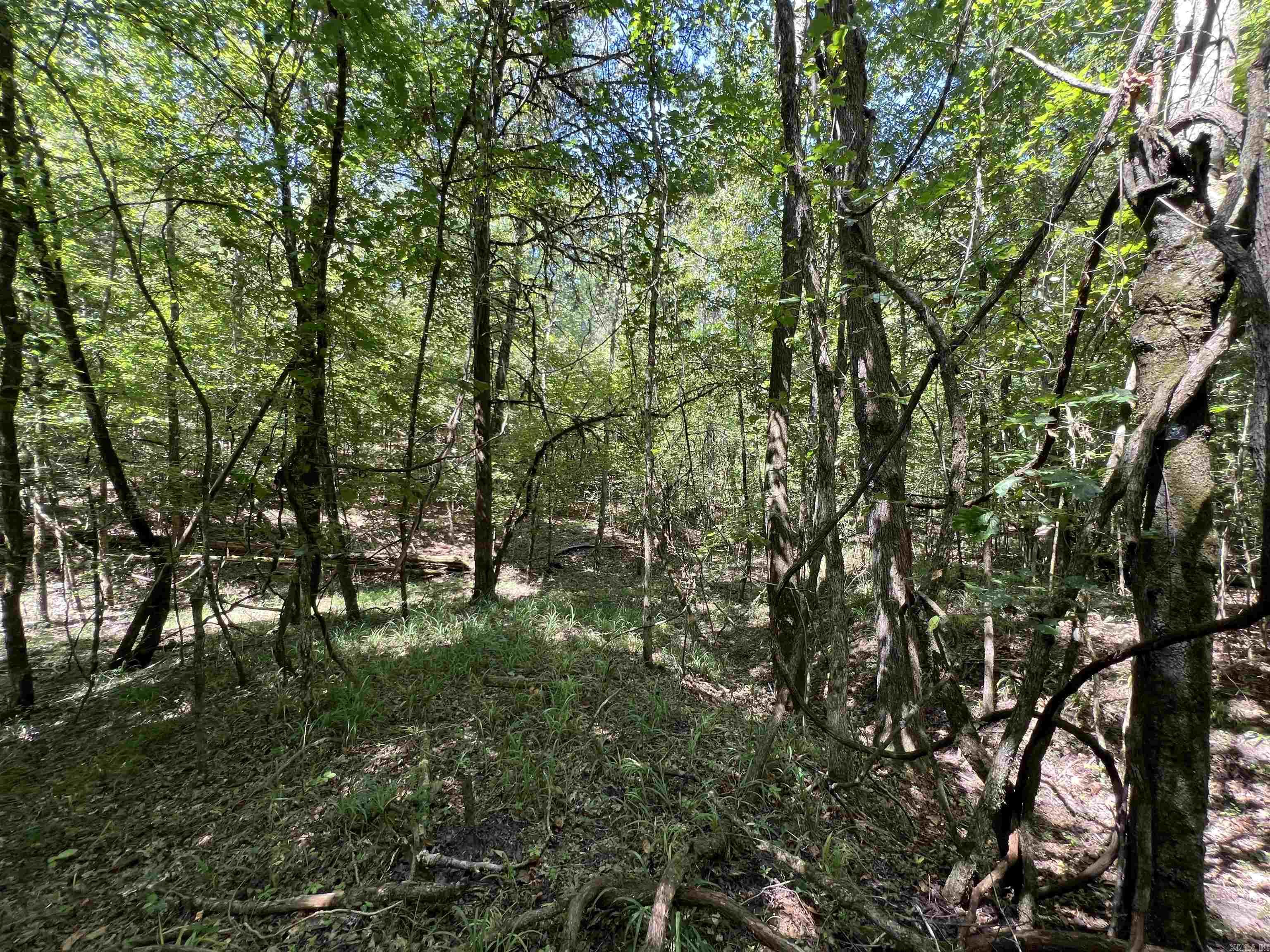 000 Davidson Campground Rd Property Photo 6