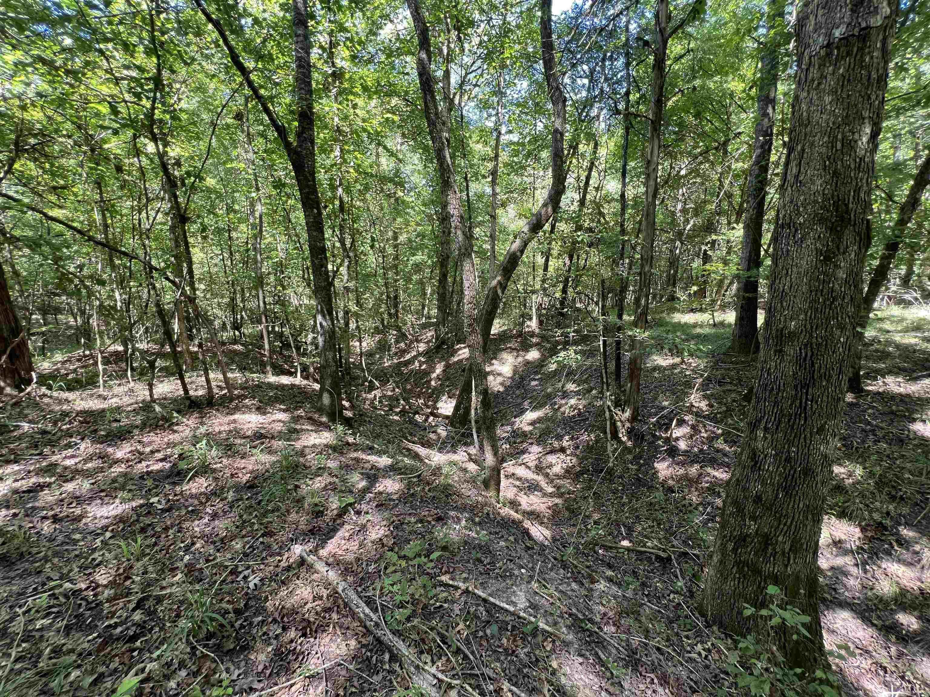 000 Davidson Campground Rd Property Photo 7