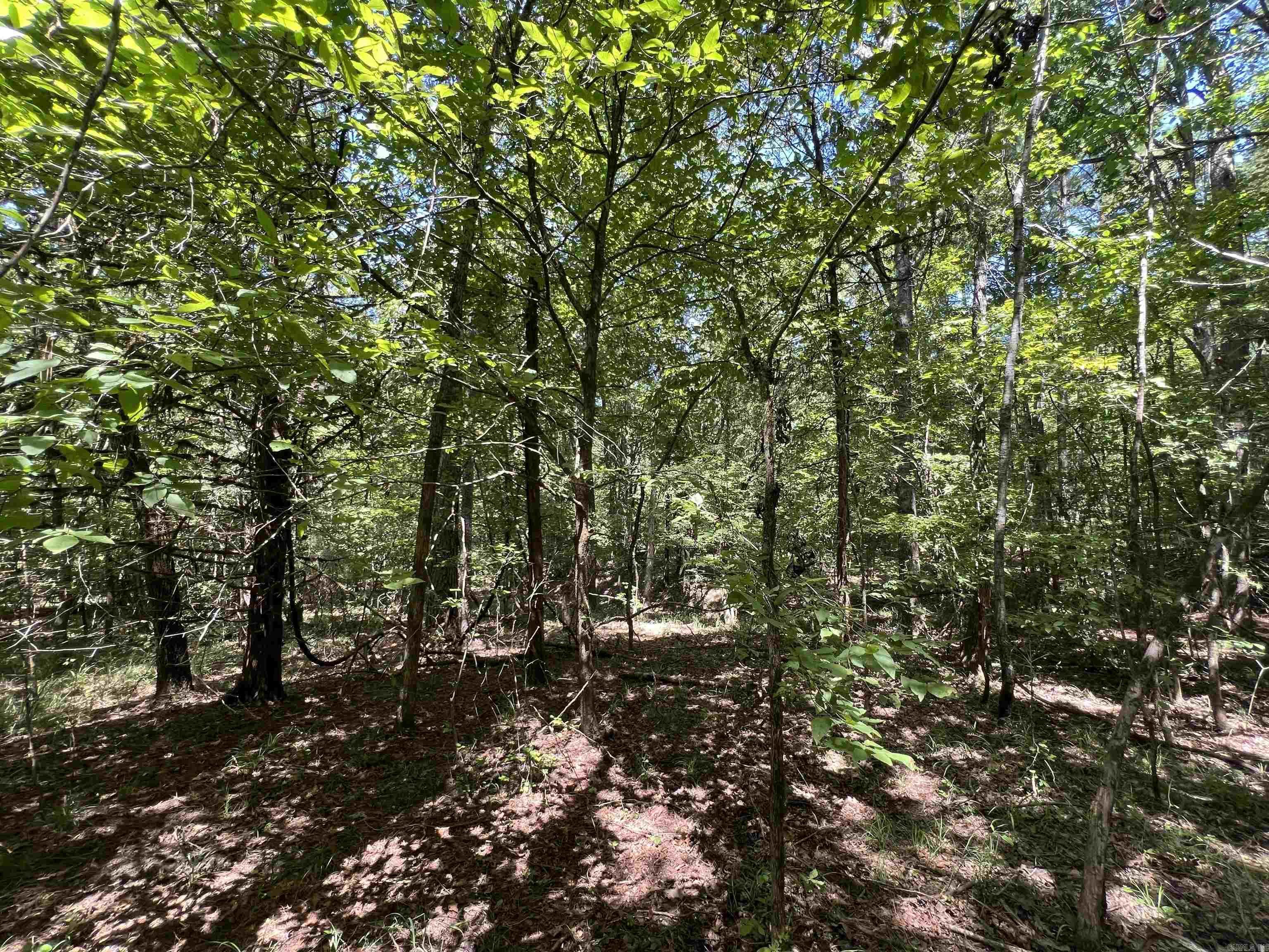 000 Davidson Campground Rd Property Photo 9