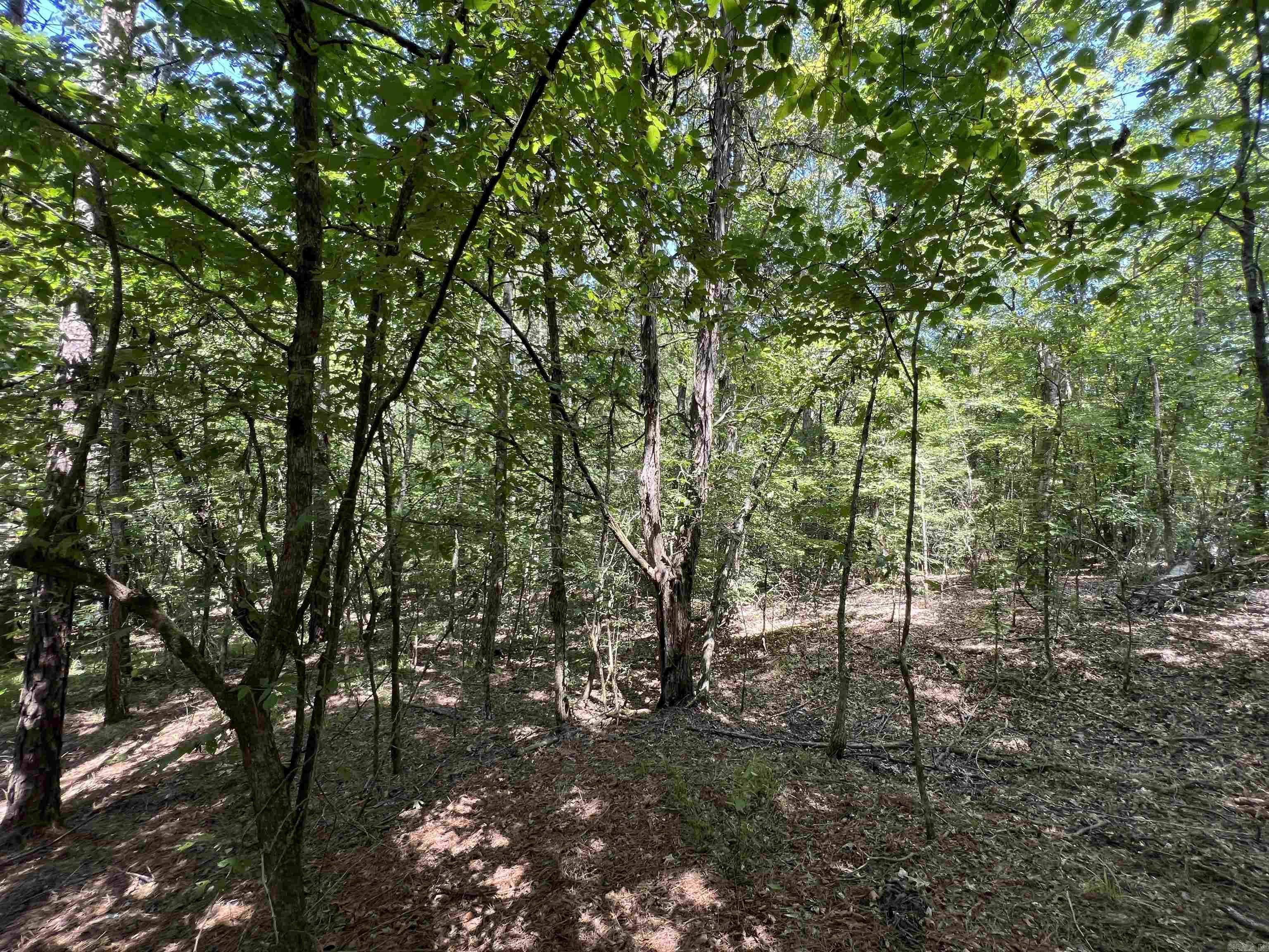 000 Davidson Campground Rd Property Photo 10