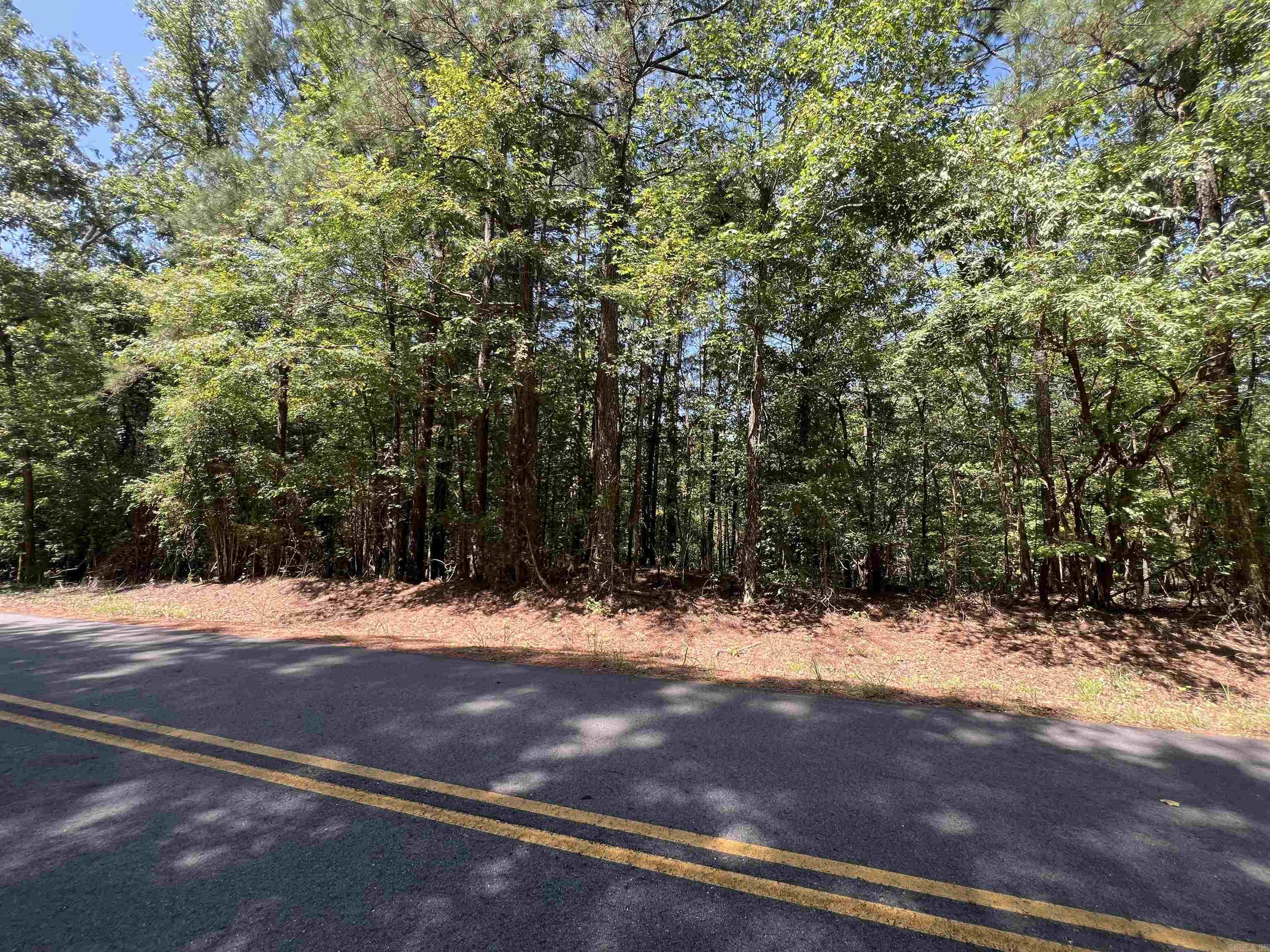 000 Davidson Campground Rd Property Photo 11