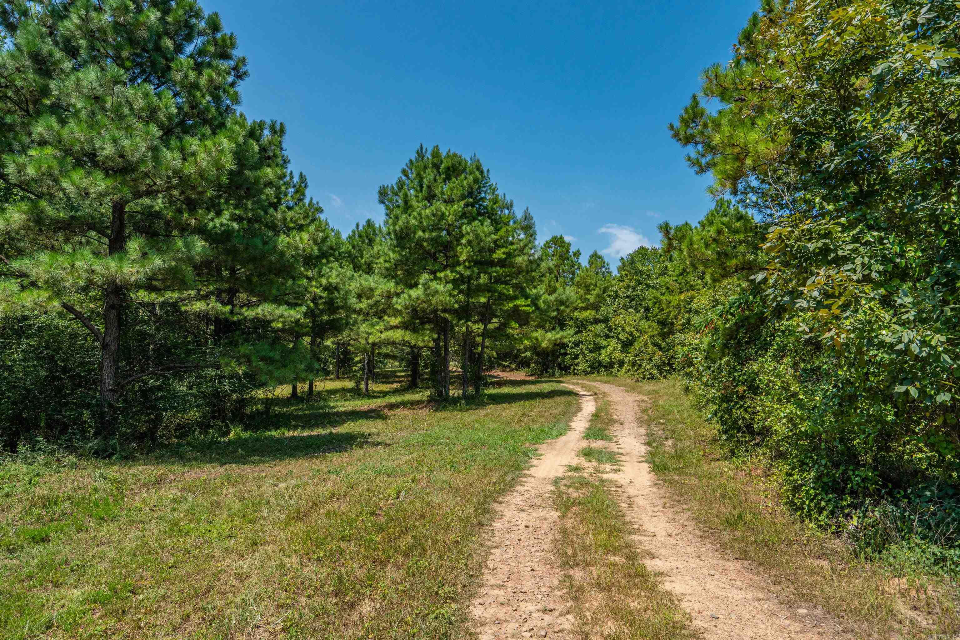 Tbd 56.13 Acres Broken Bow Lane Property Photo 5