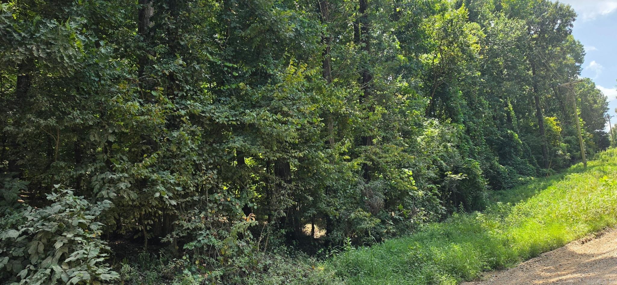 00 Cr 724 Property Photo 4