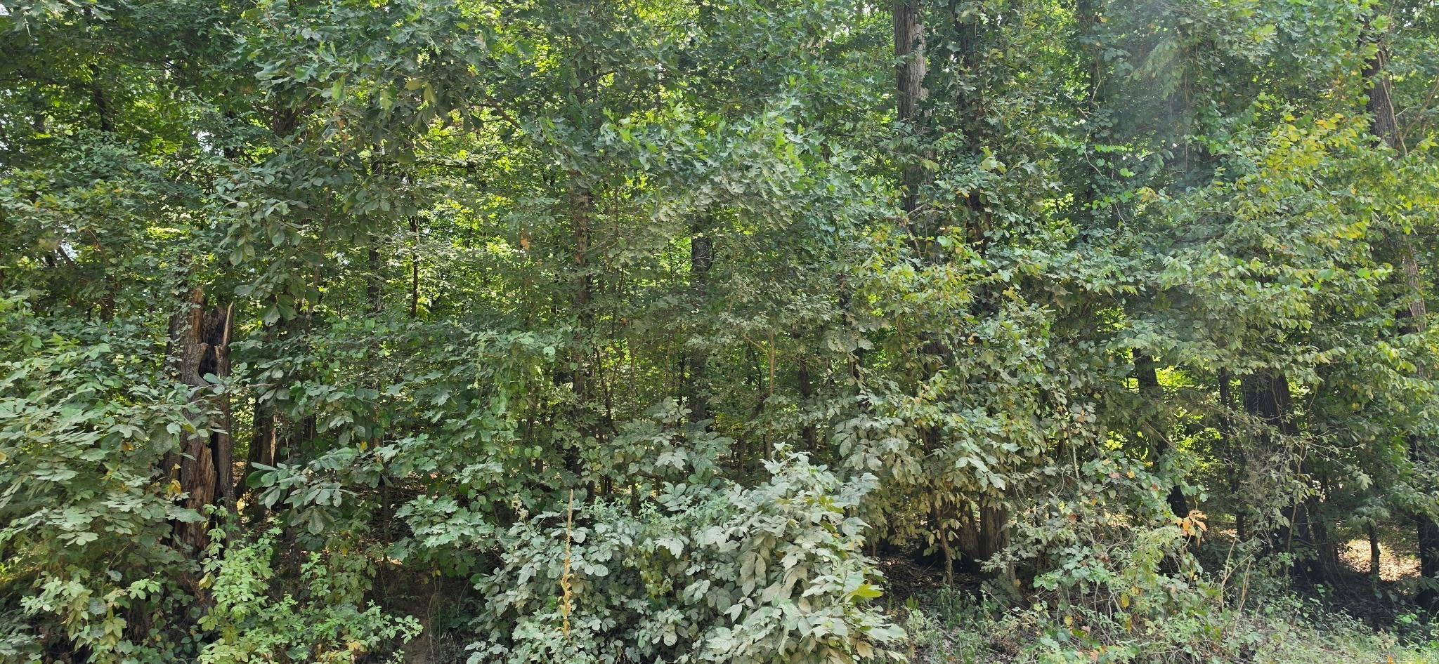 00 Cr 724 Property Photo 5