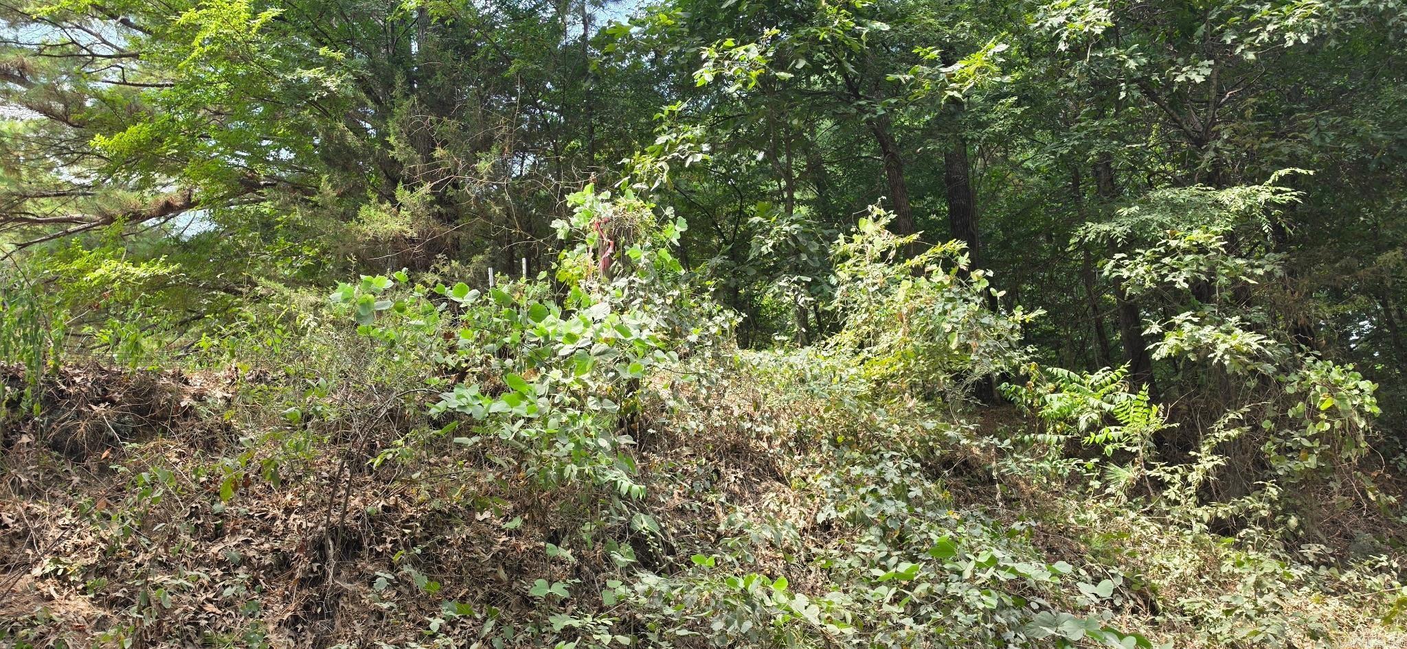 00 Cr 724 Property Photo 8