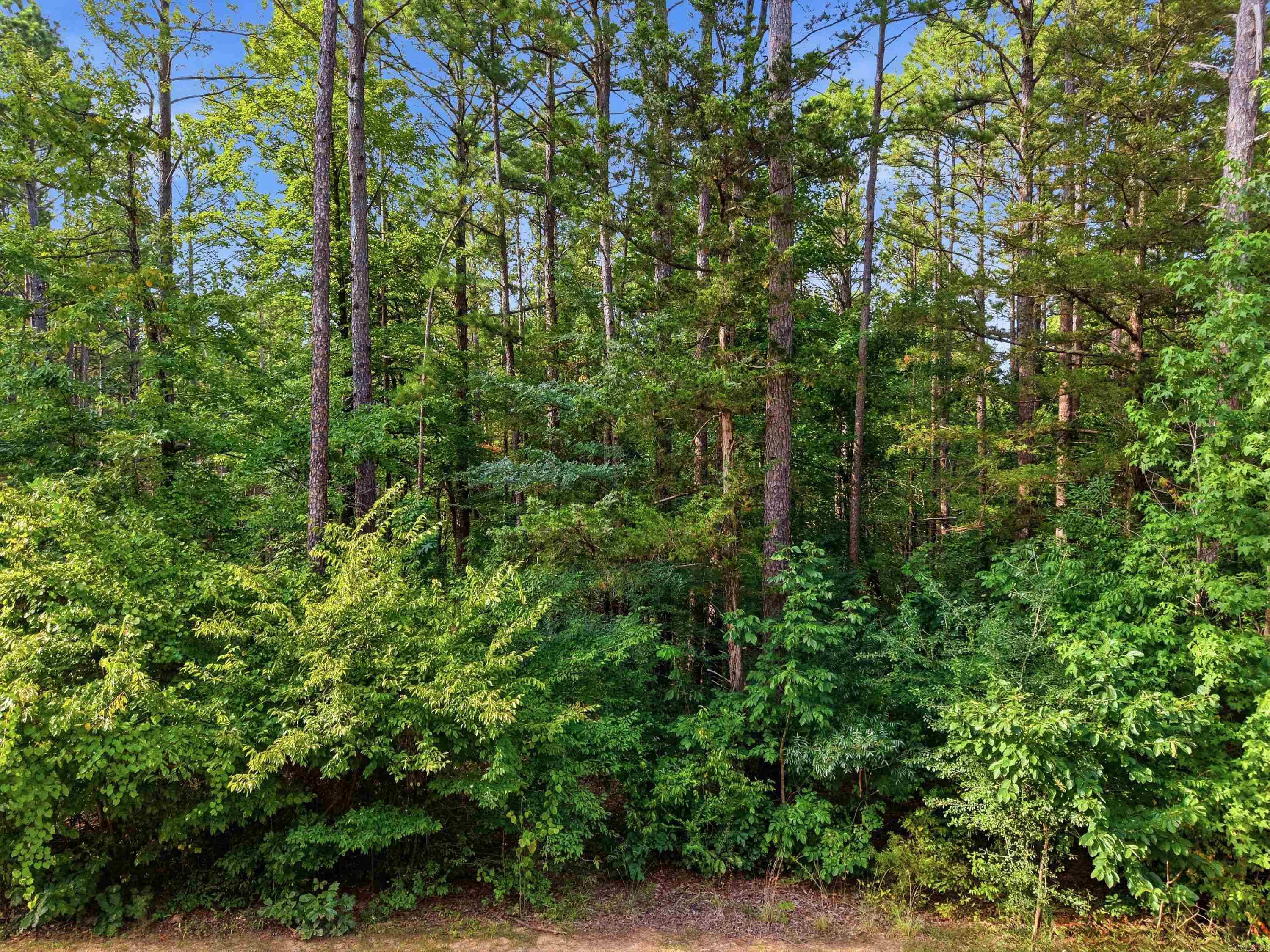 3306 Black Hill Road Property Photo 9