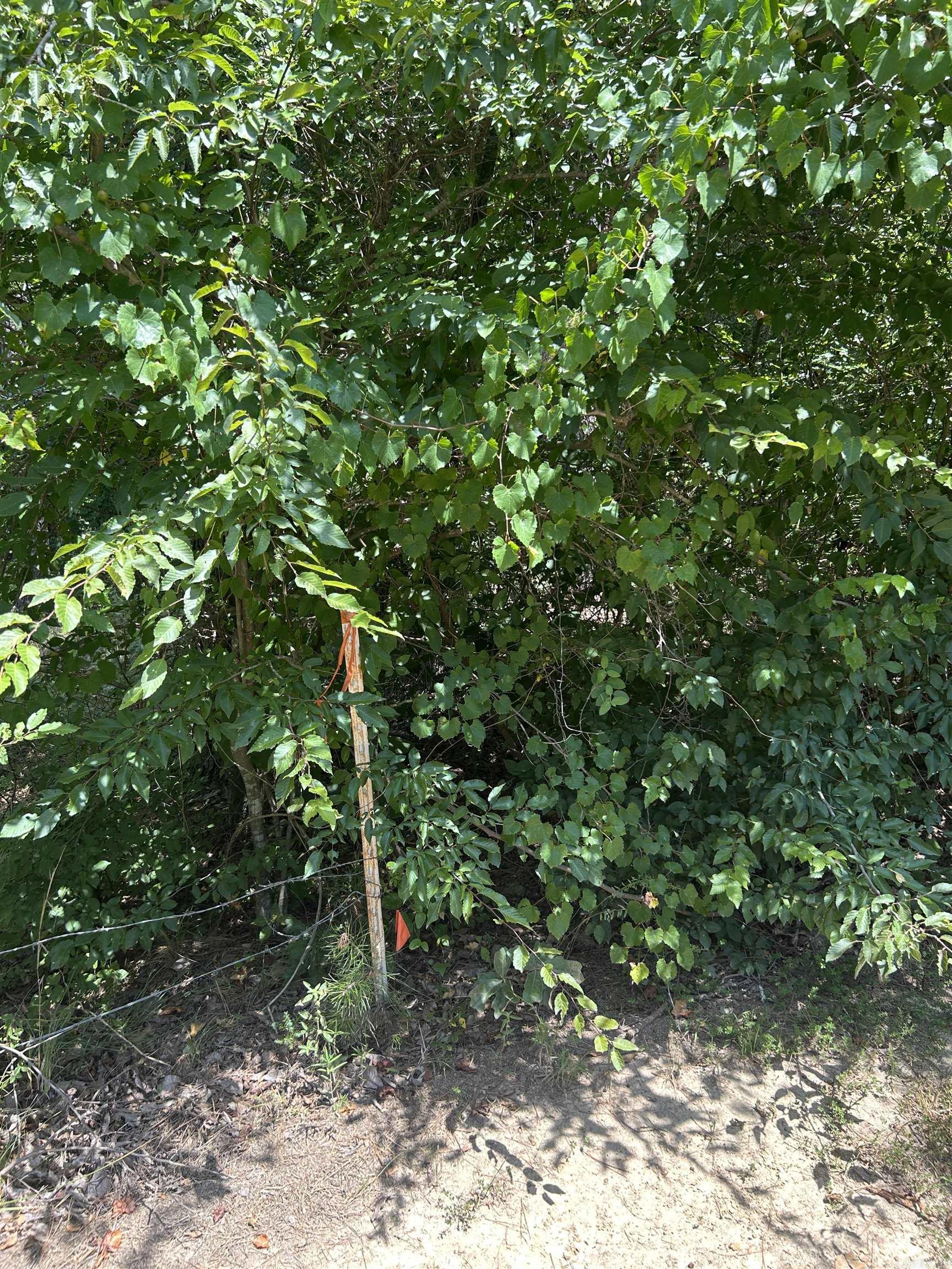 3306 Black Hill Road Property Photo 10