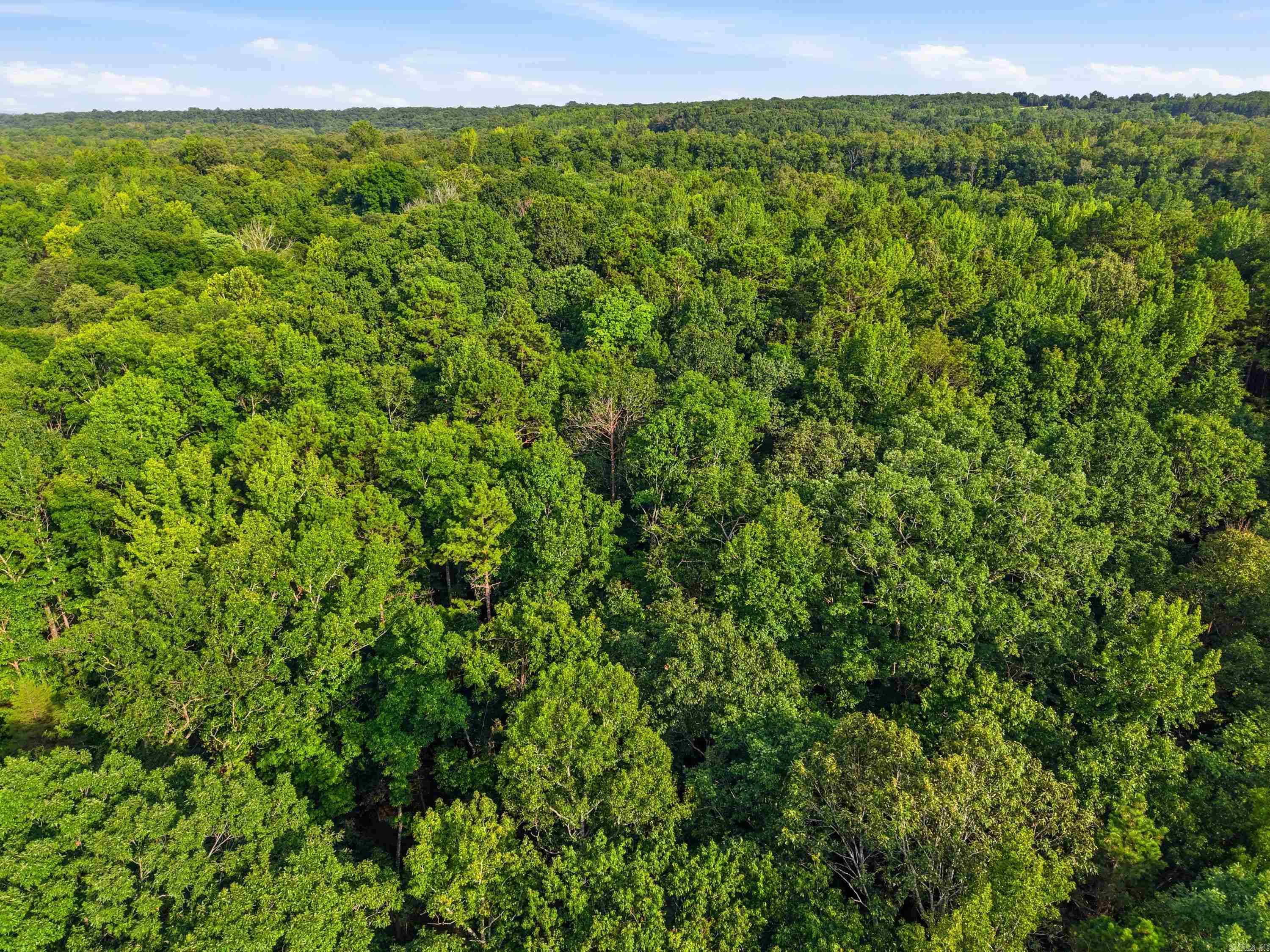 3306 Black Hill Road Property Photo 22