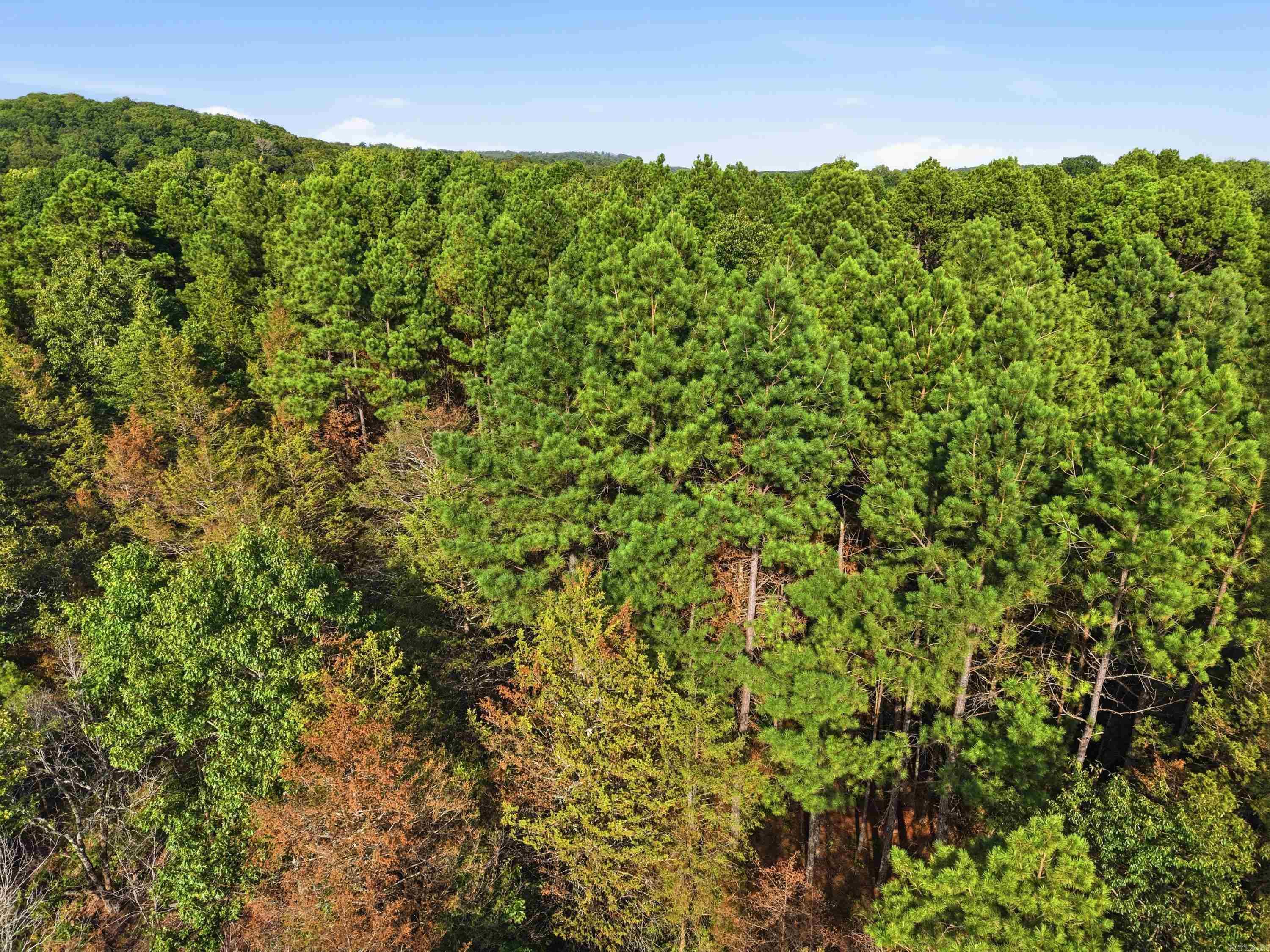 3306 Black Hill Road Property Photo 23