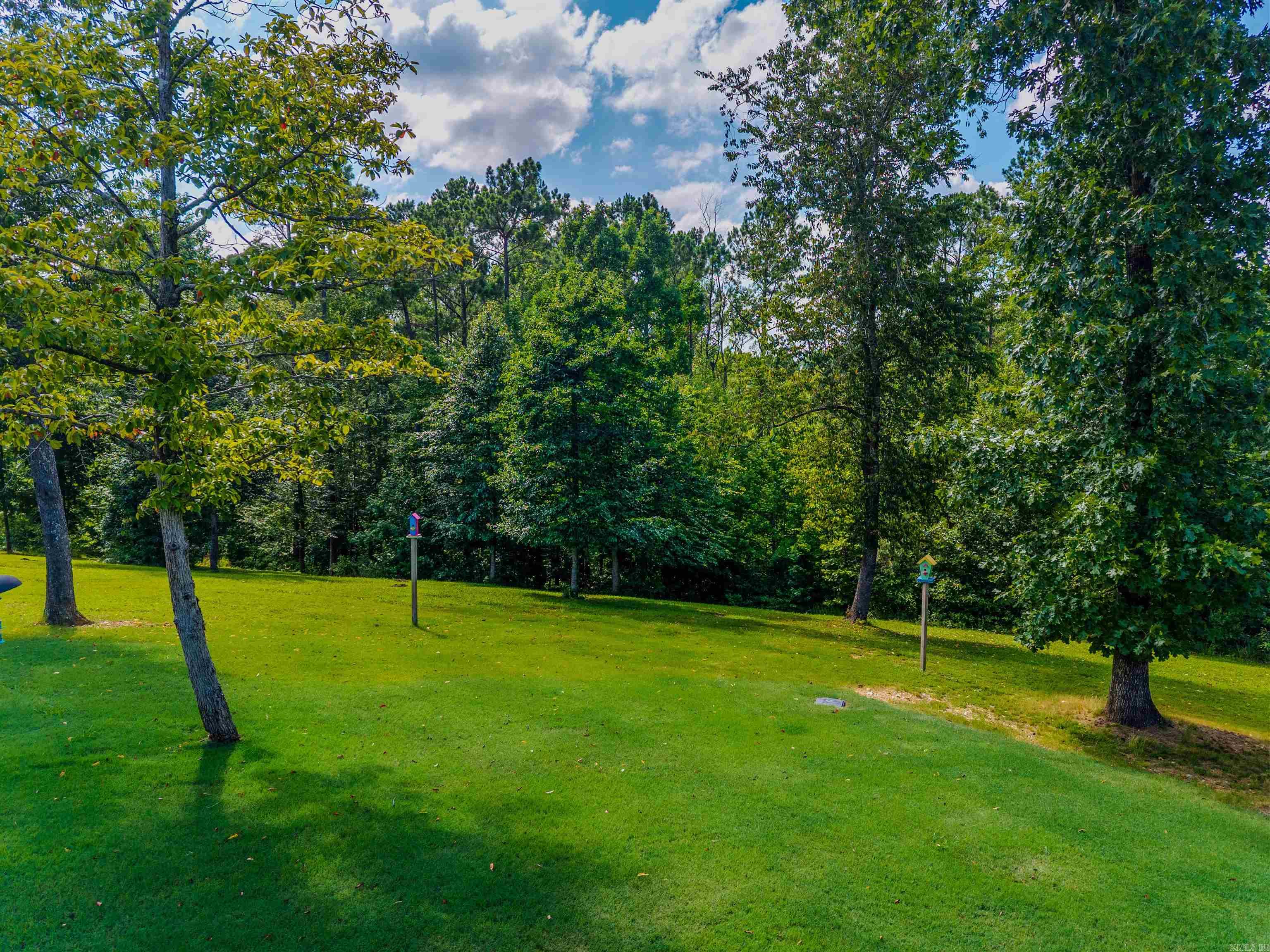 3985 Bent Tree Property Photo 44