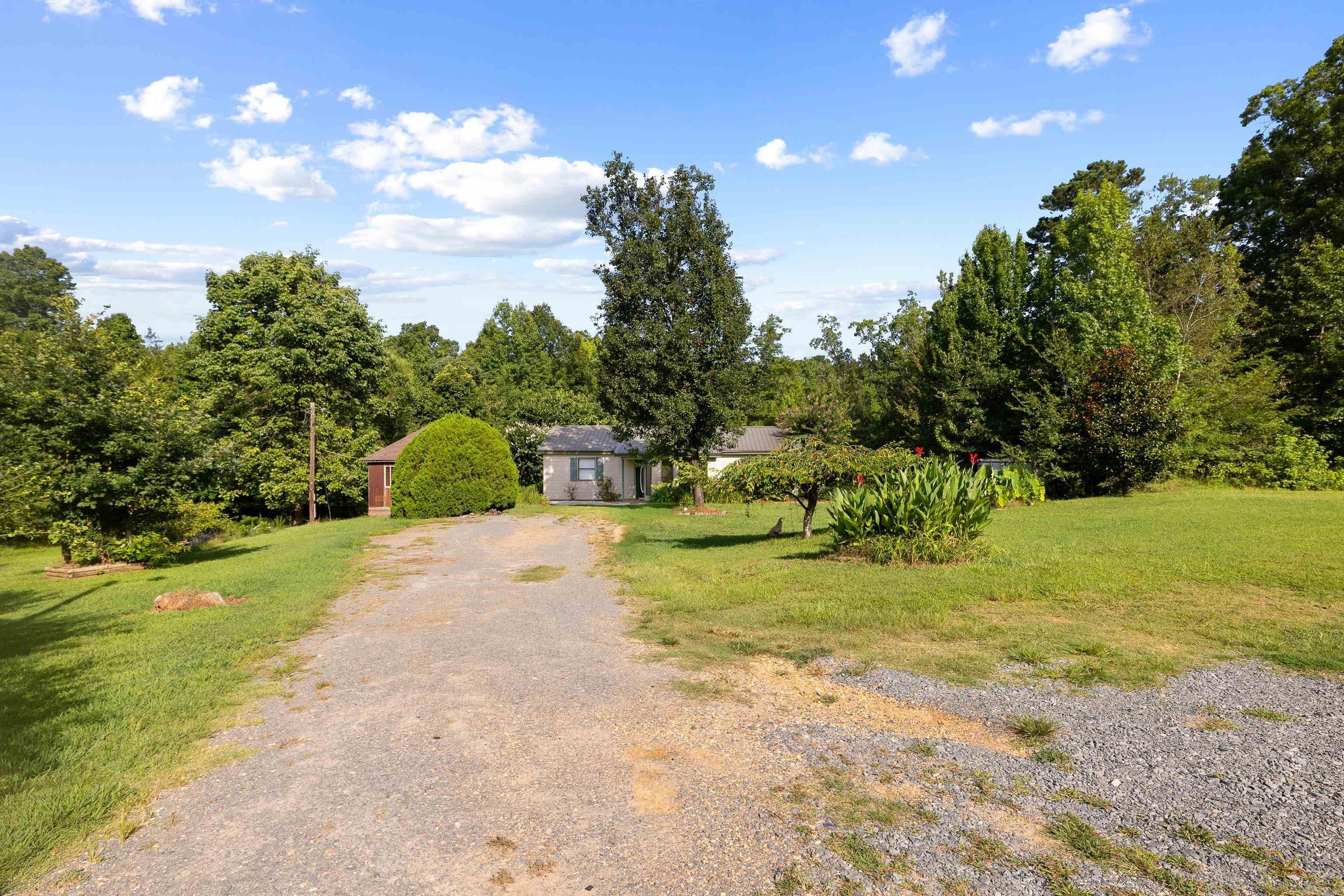 1009 Elm Street Property Photo 10