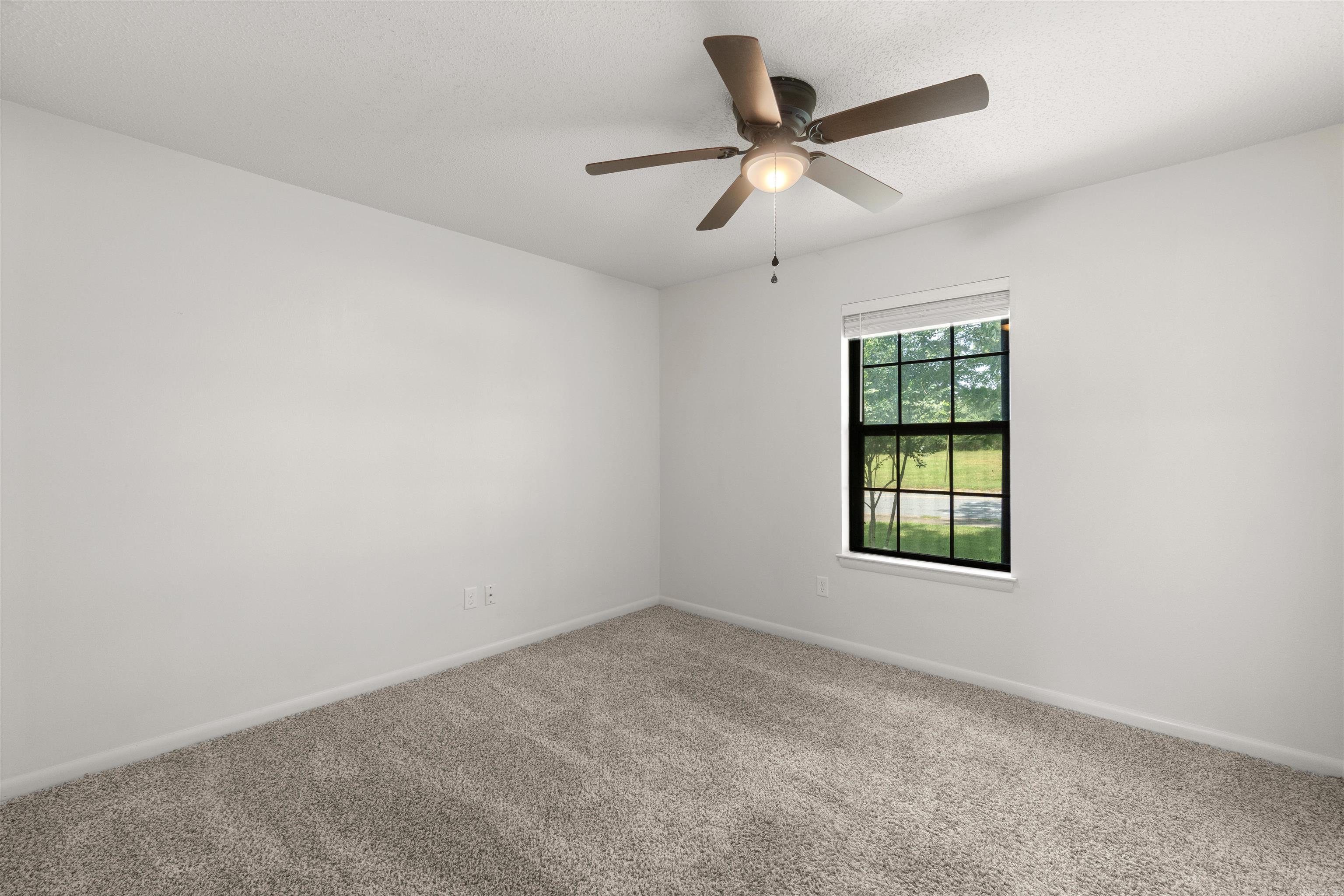 705 Koehler Avenue Property Photo 28