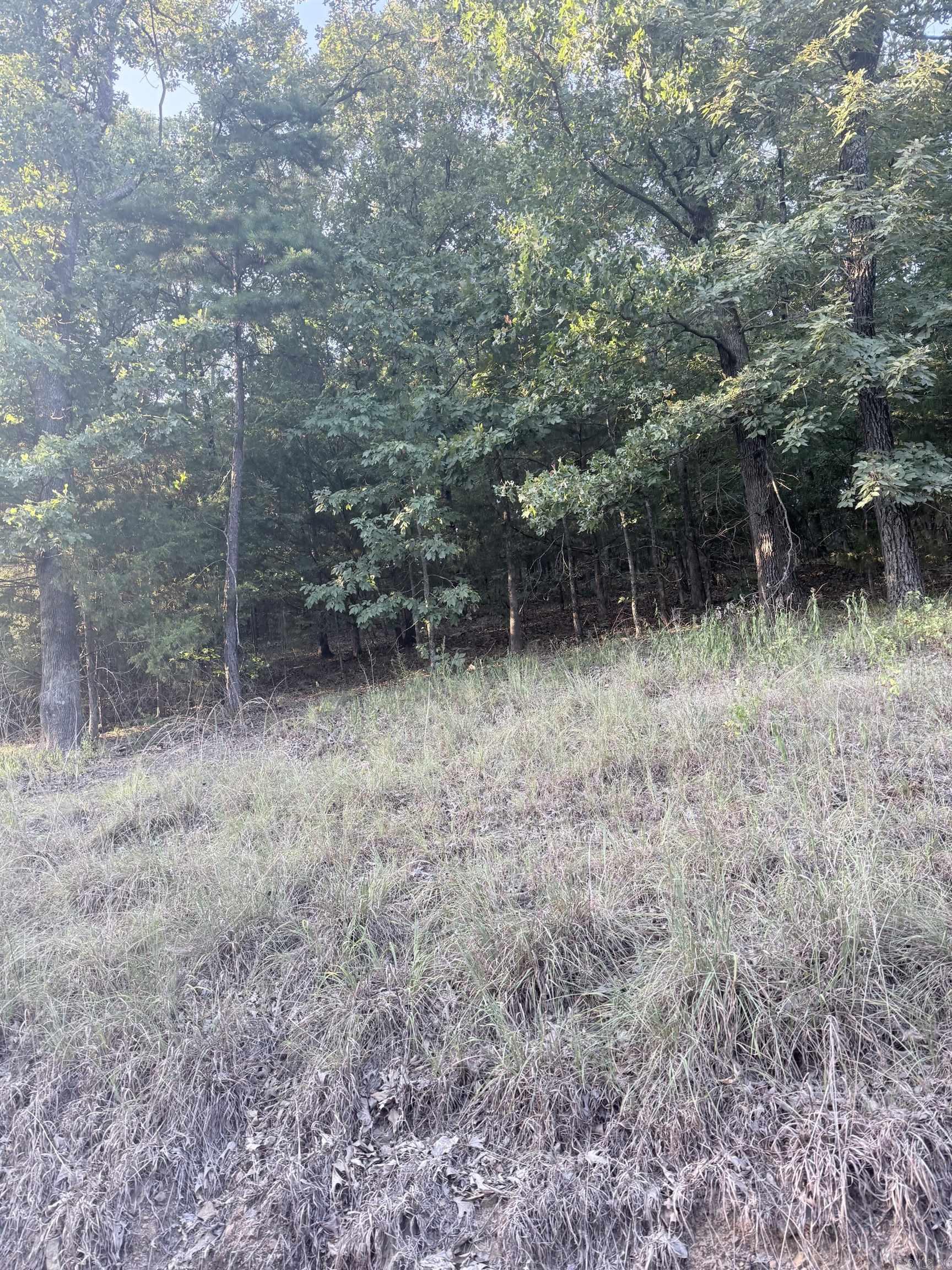 Lot 14 Ridge Property Photo 1