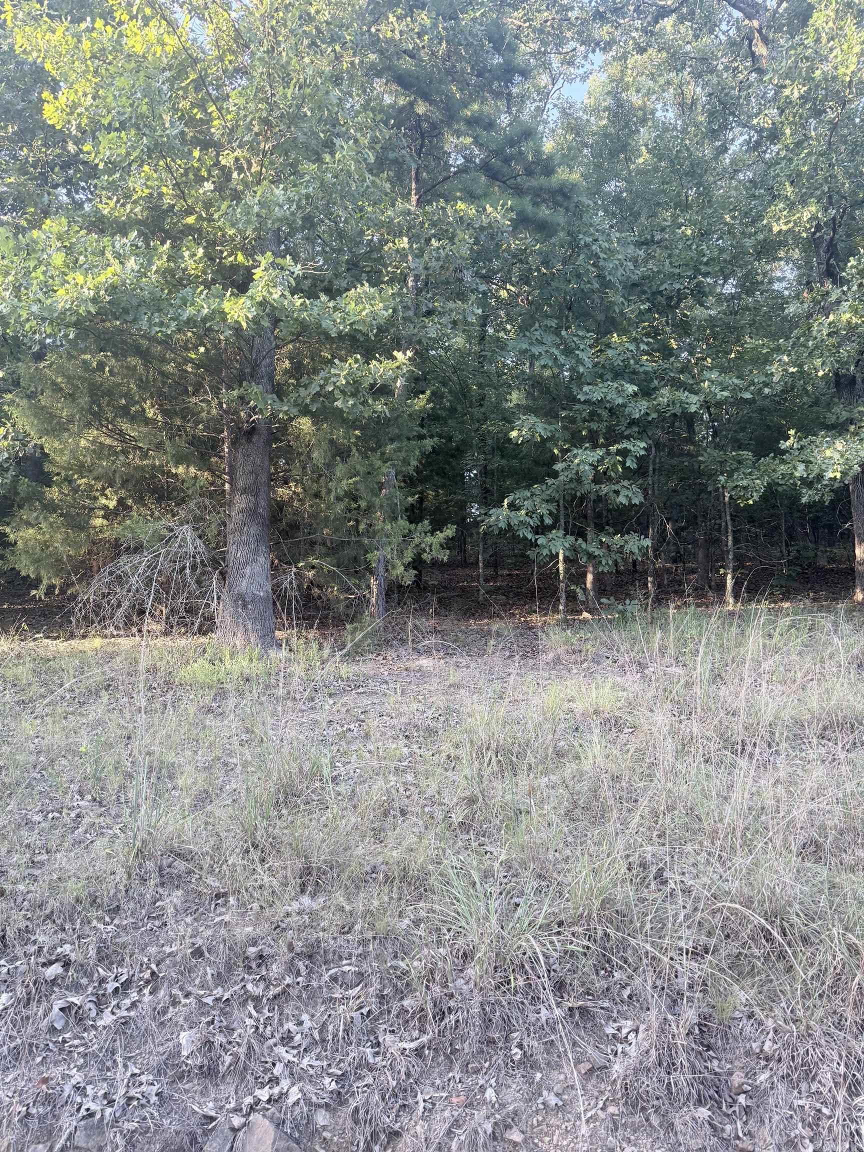 Lot 14 Ridge Property Photo 2
