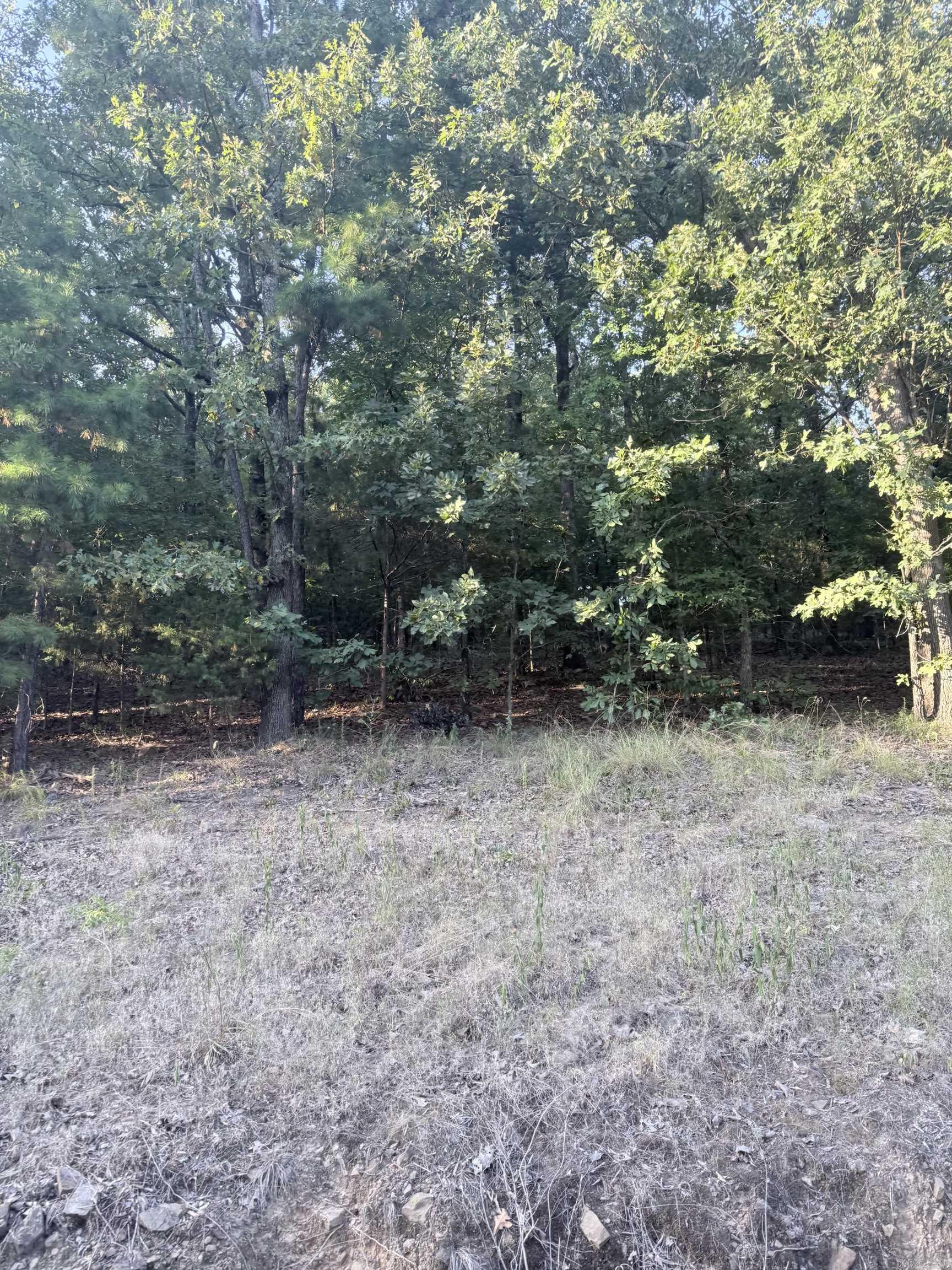 Lot 14 Ridge Property Photo 3