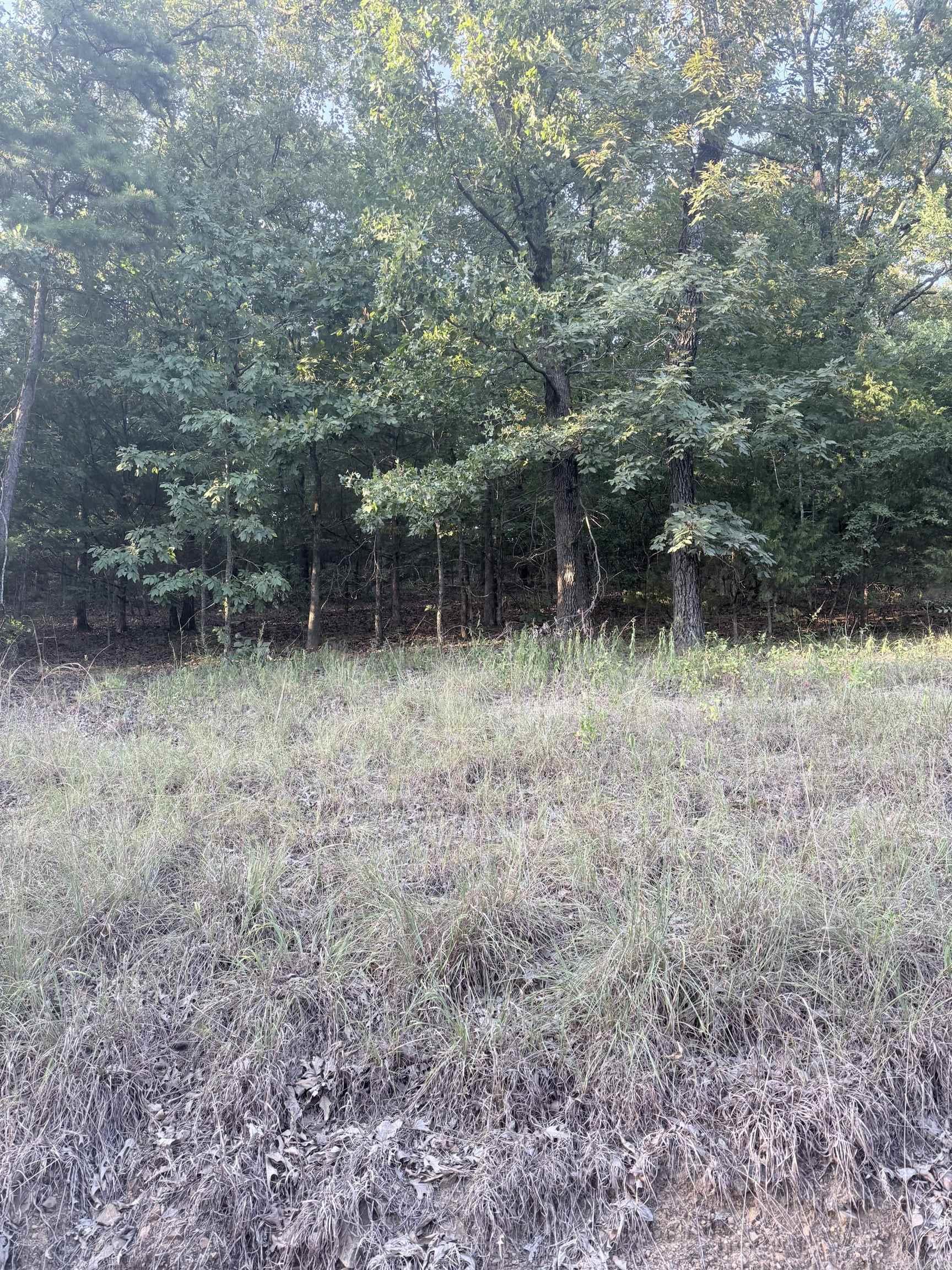 Lot 14 Ridge Property Photo 4