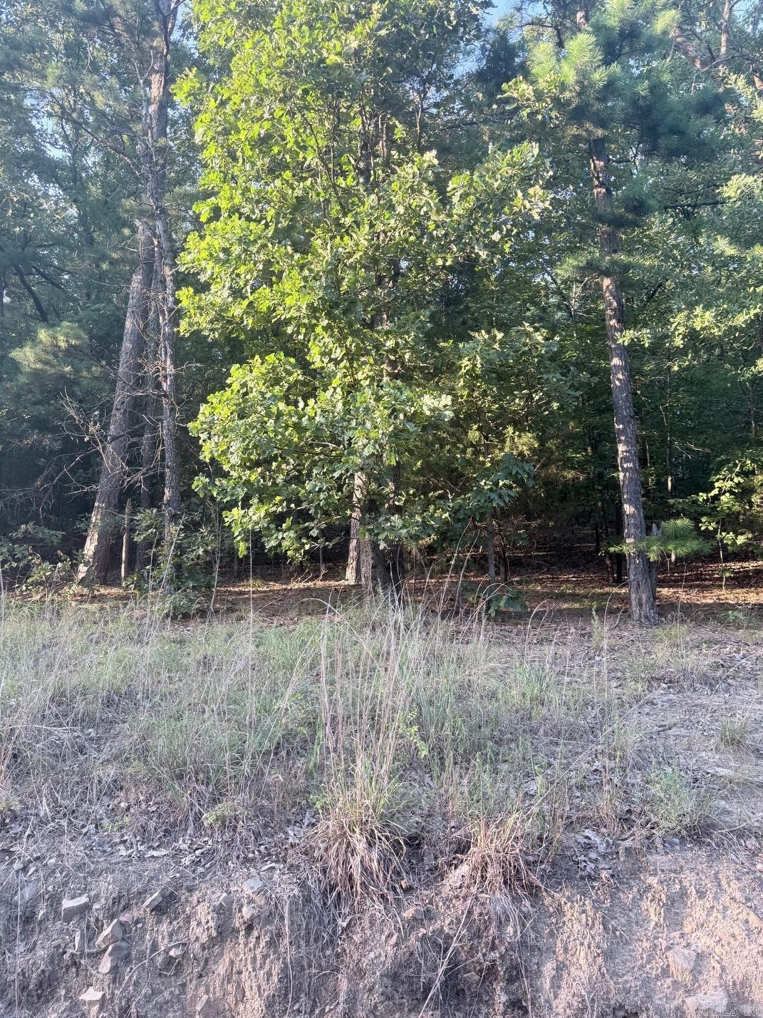 Lot 14 Ridge Property Photo 6