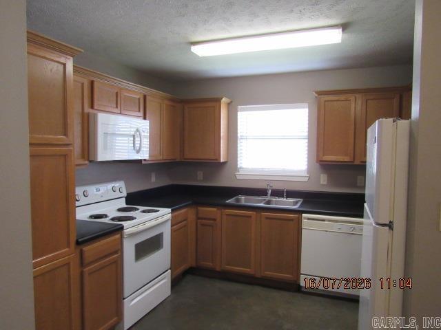 2125-b Rosemary Drive Property Photo 4