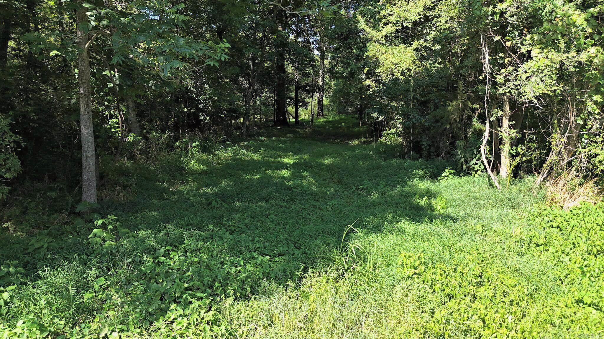 1337 Polk Road 38 Property Photo 46